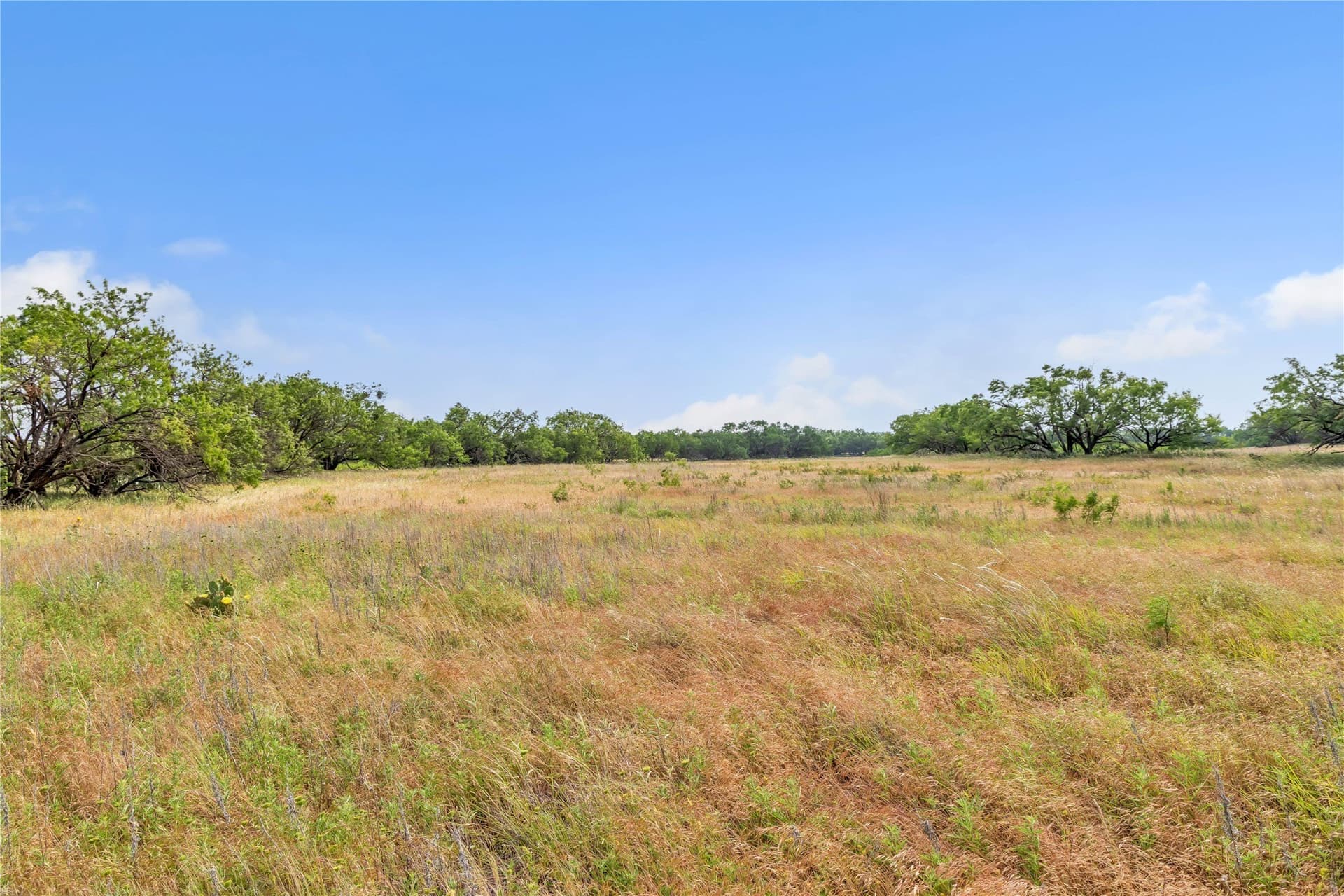 98 acres in Callahan County - photo 28