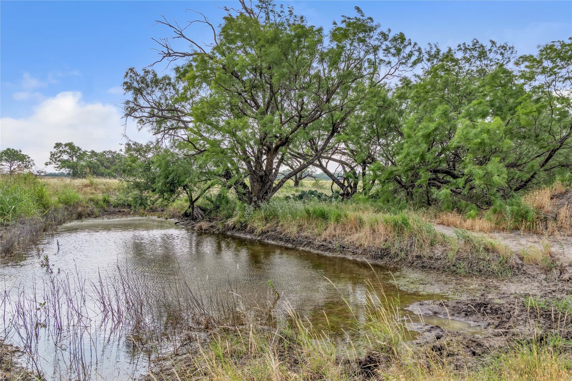 98 acres in Callahan County - photo 35