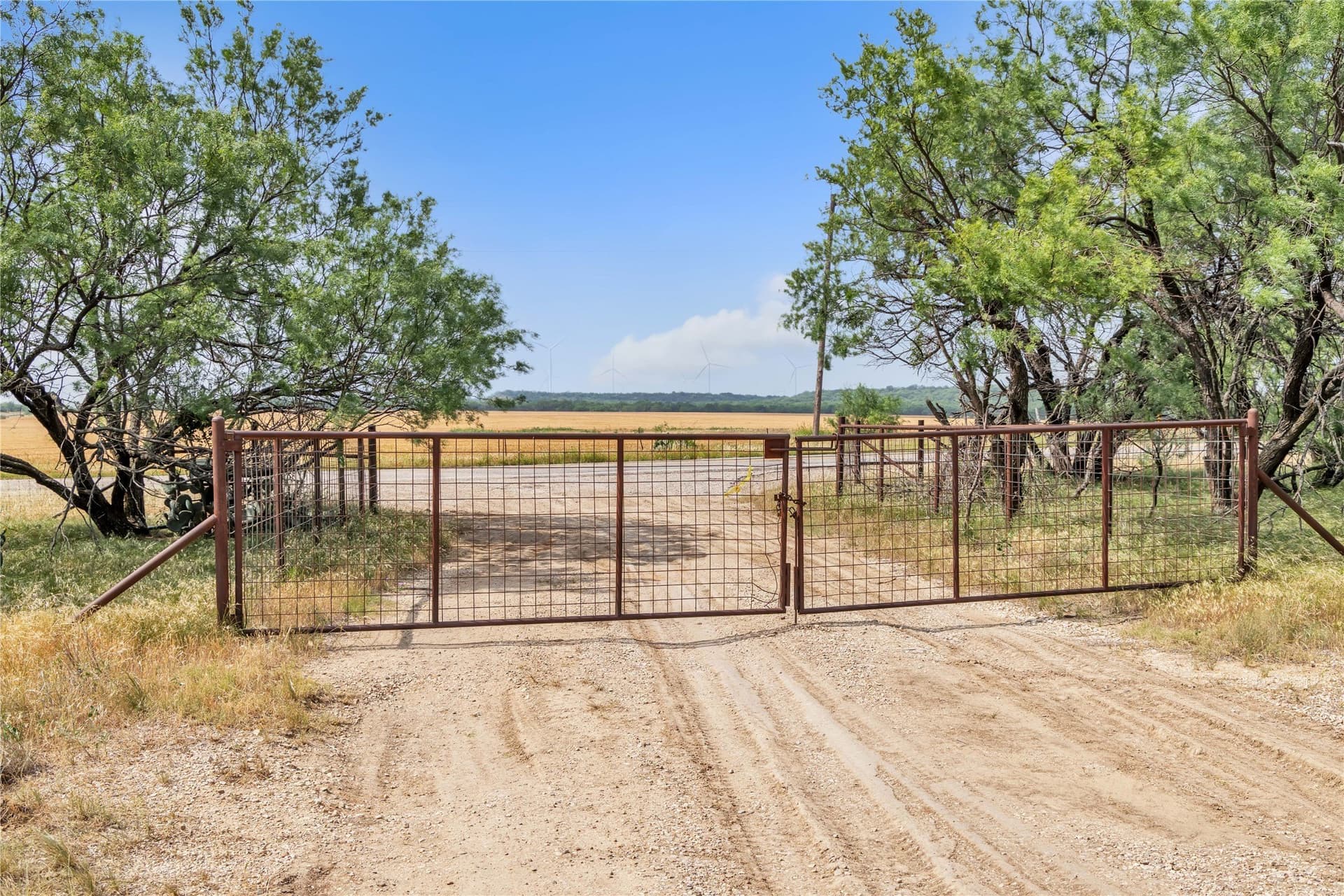 98 acres in Callahan County - photo 32