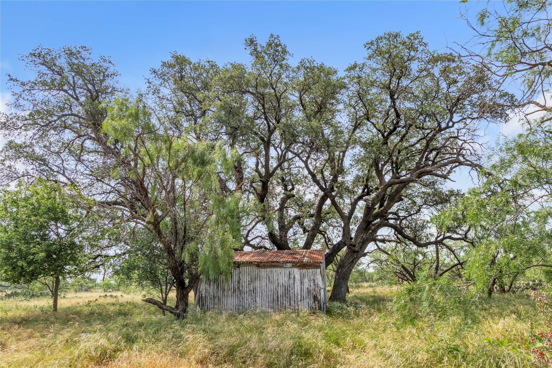 98 acres in Callahan County - photo 31