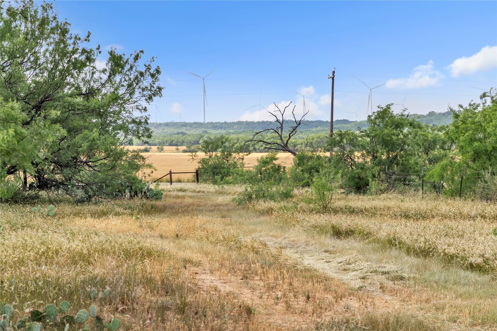 98 acres in Callahan County - photo 38