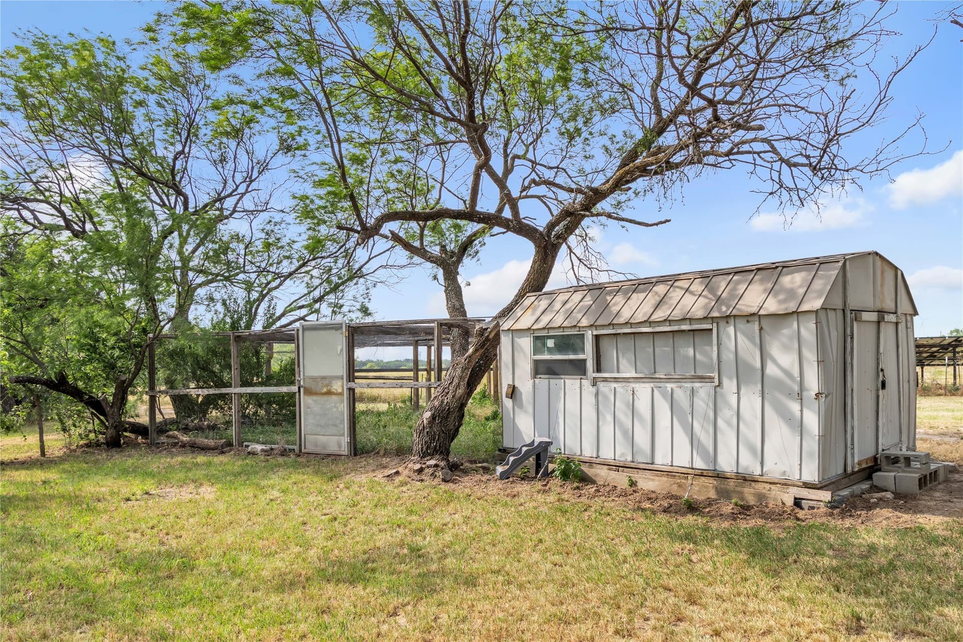 98 acres in Callahan County - photo 15