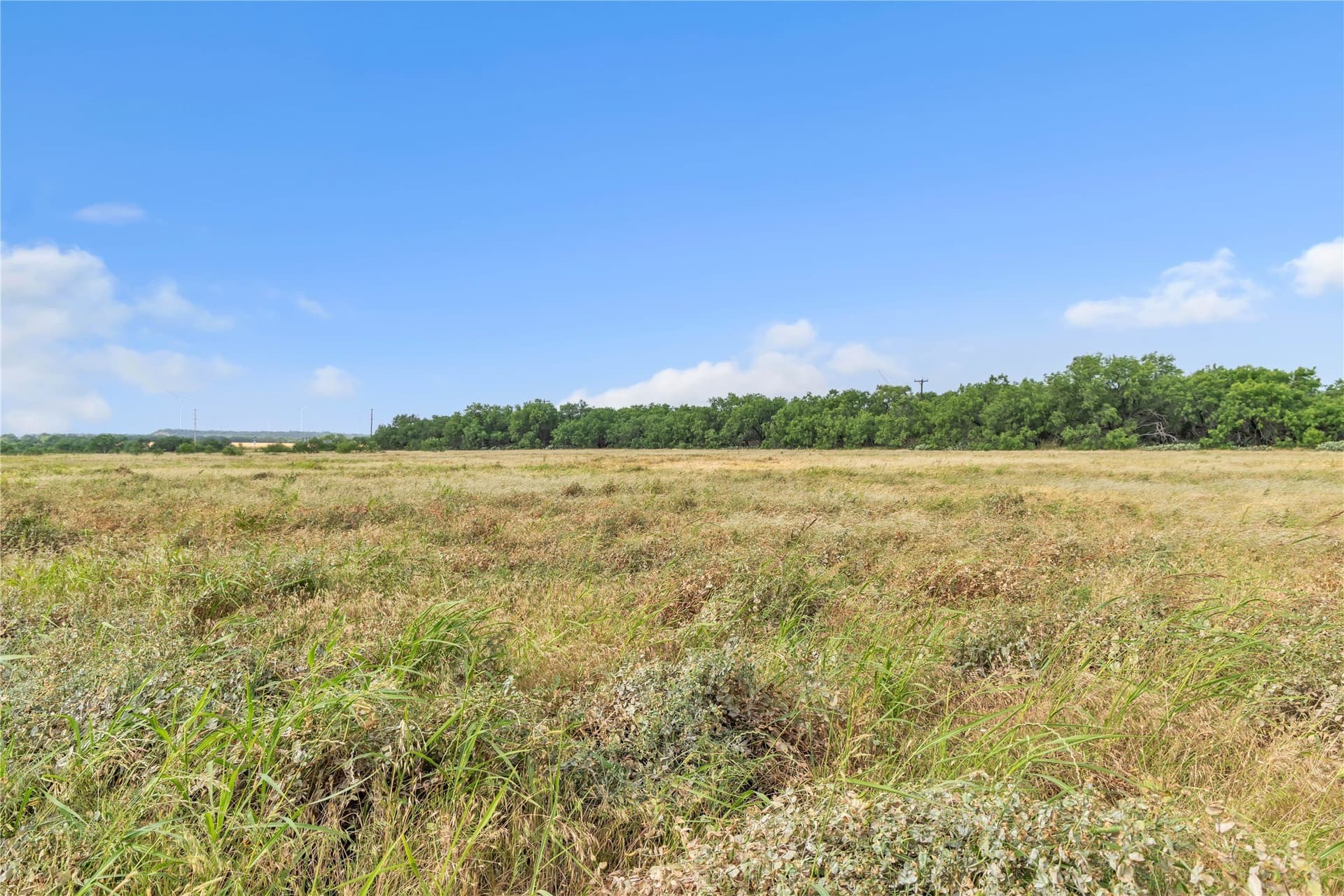98 acres in Callahan County - photo 34