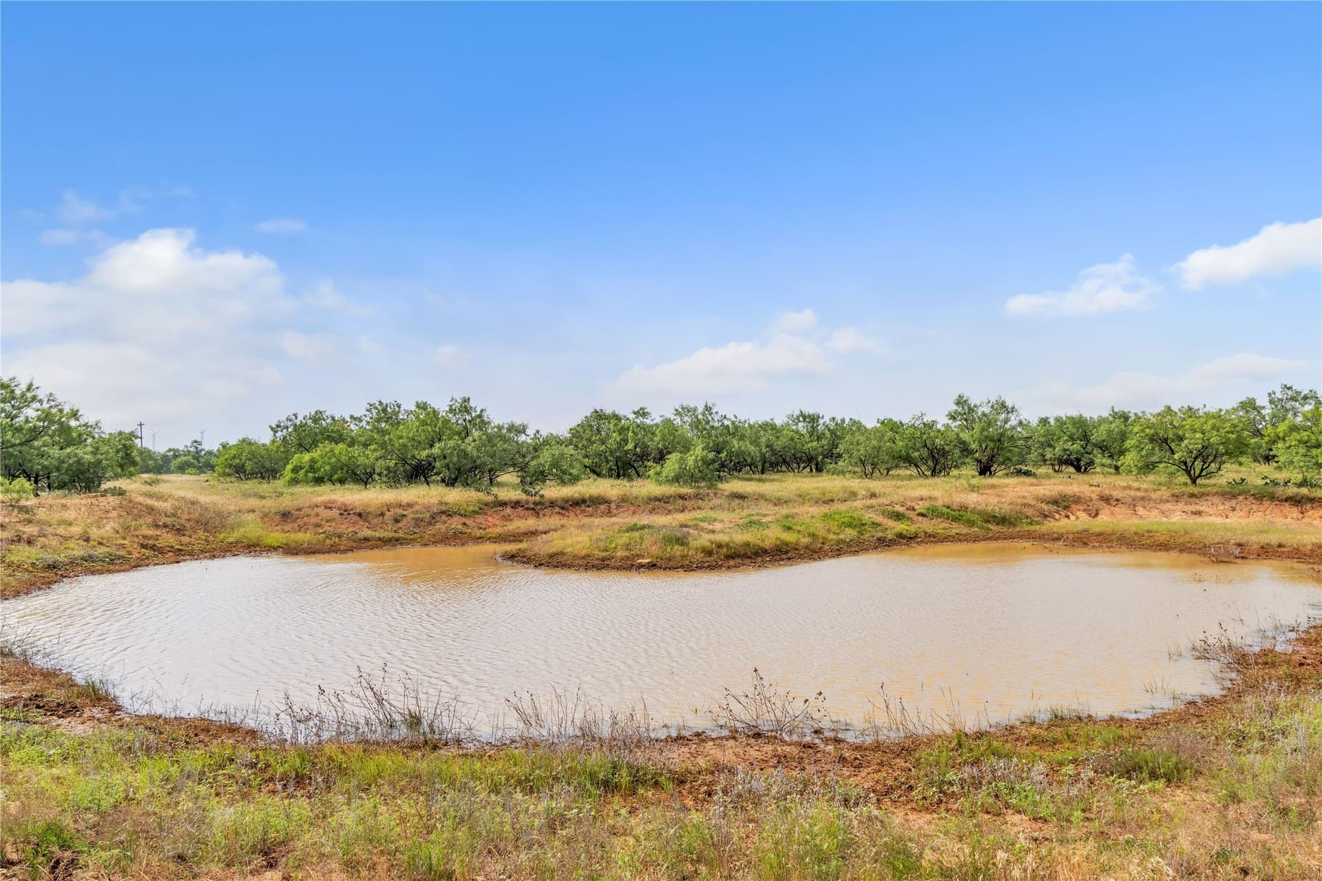 98 acres in Callahan County - photo 3