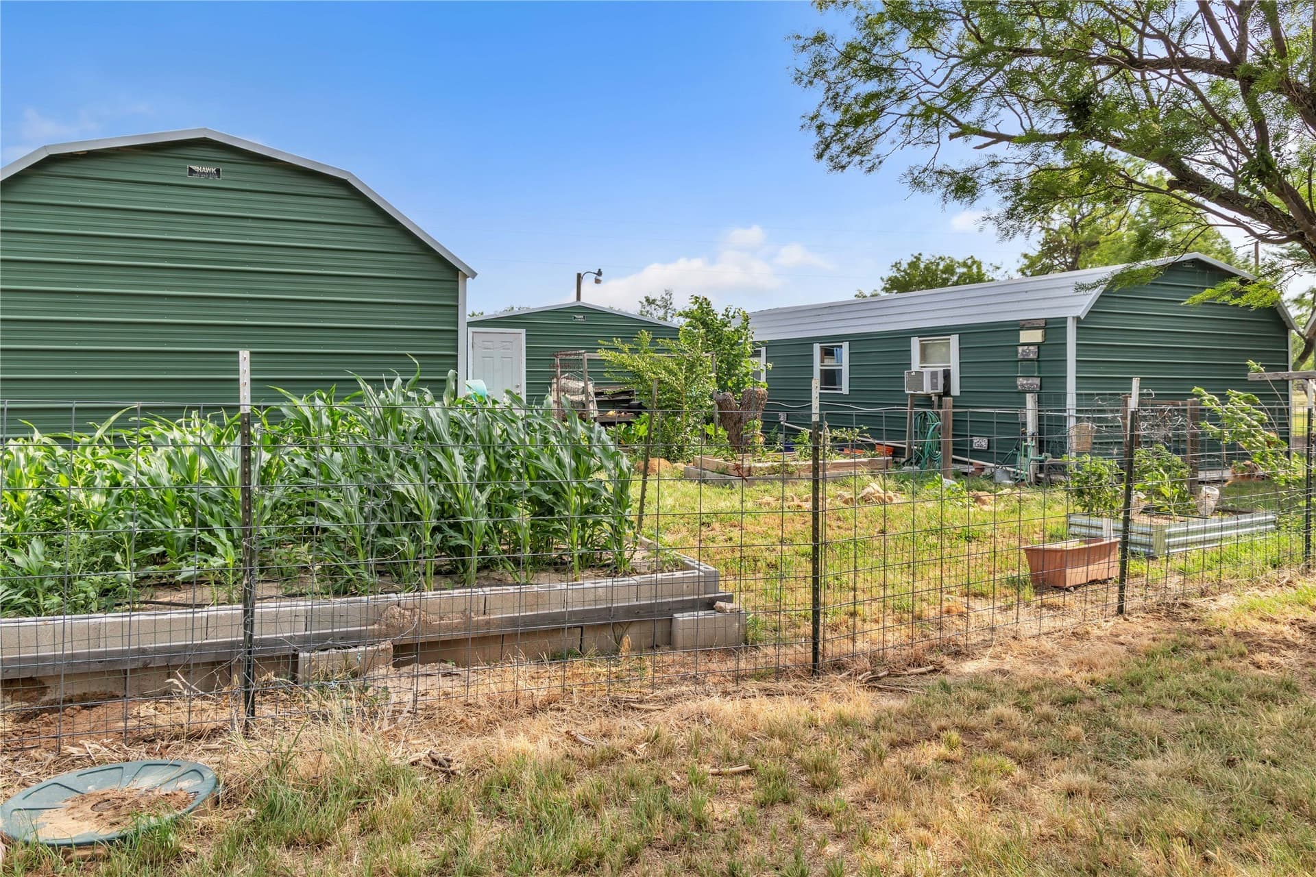 98 acres in Callahan County - photo 14