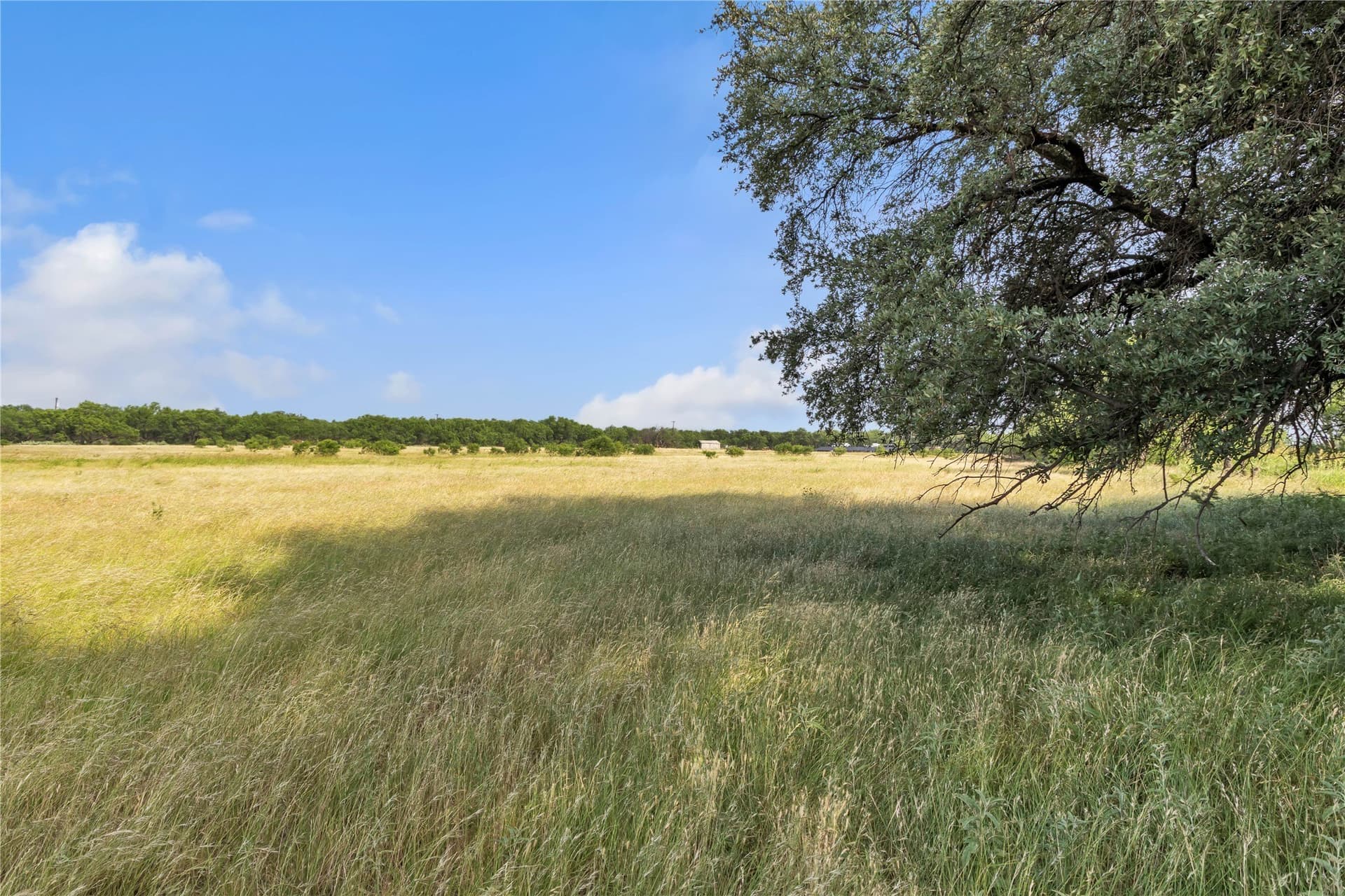 98 acres in Callahan County - photo 27