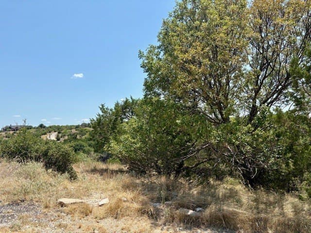 0.14 acres in Palo Pinto County - photo 7