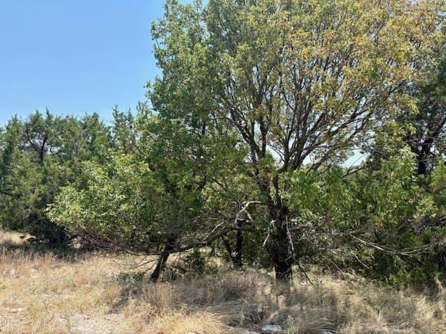 0.14 acres in Palo Pinto County - photo 8