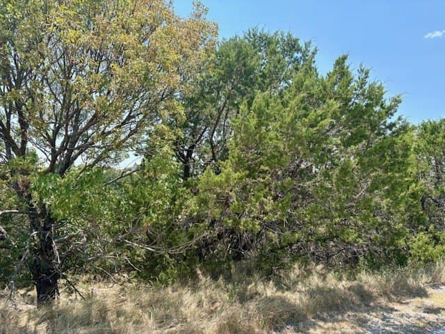 0.14 acres in Palo Pinto County gallery image 3