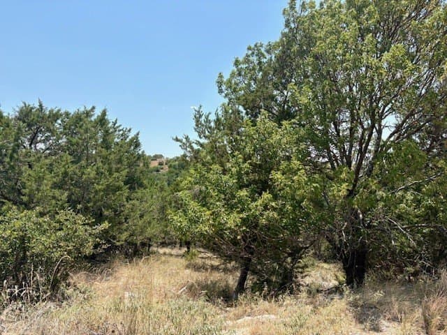 0.14 acres in Palo Pinto County - photo 6