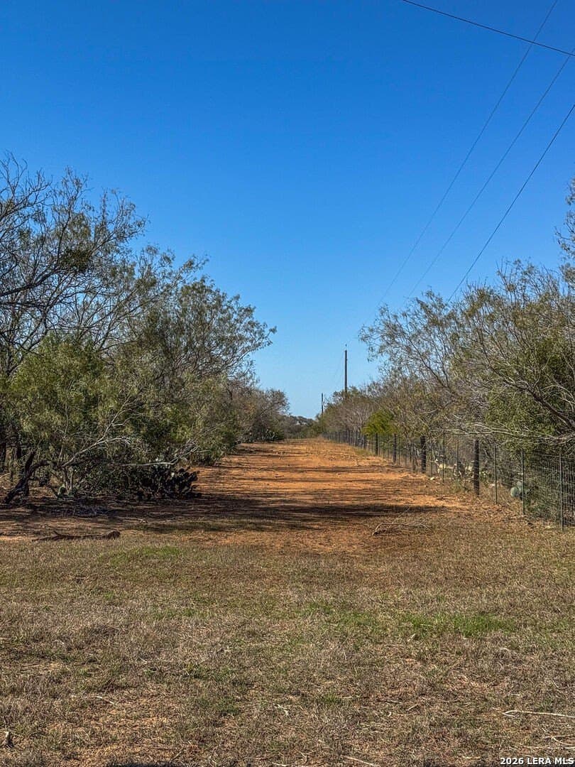 20.02 acres in Guadalupe County gallery image 3