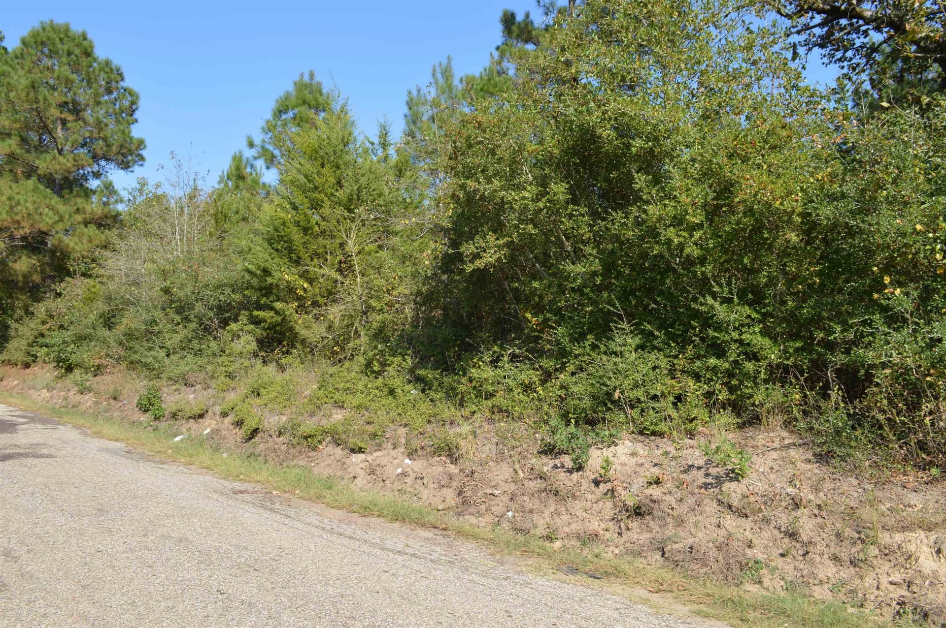 50 acres in Texas County