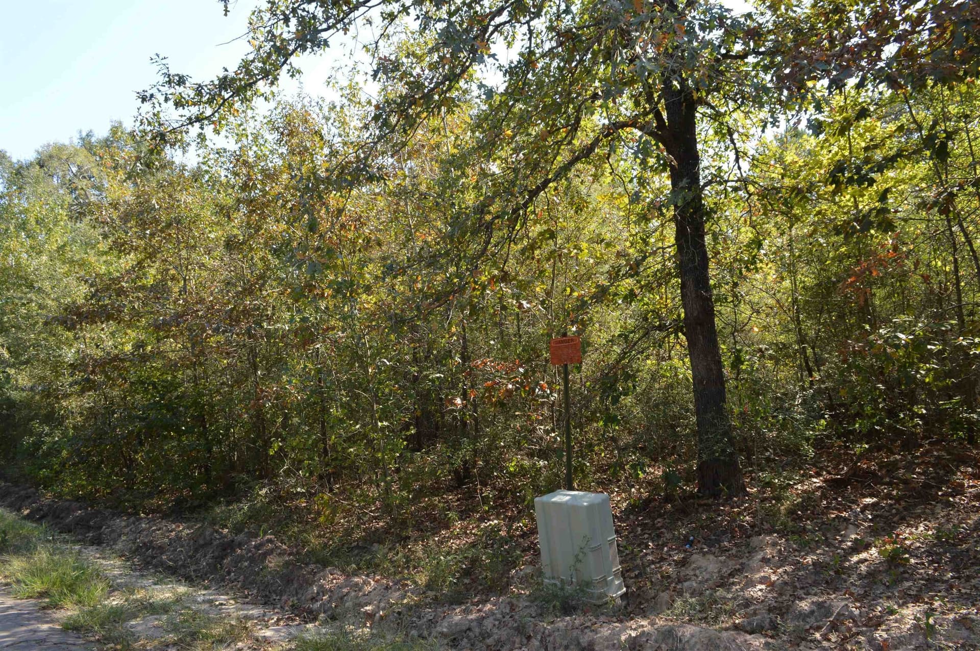 50 acres in Texas County gallery image 3