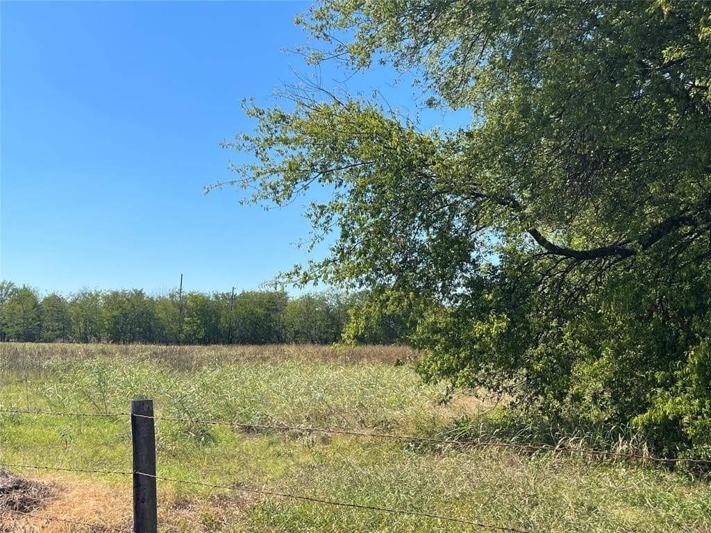 10.1 acres in Hopkins County gallery image 4