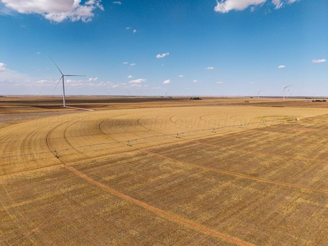 155 acres in Parmer County gallery image 2