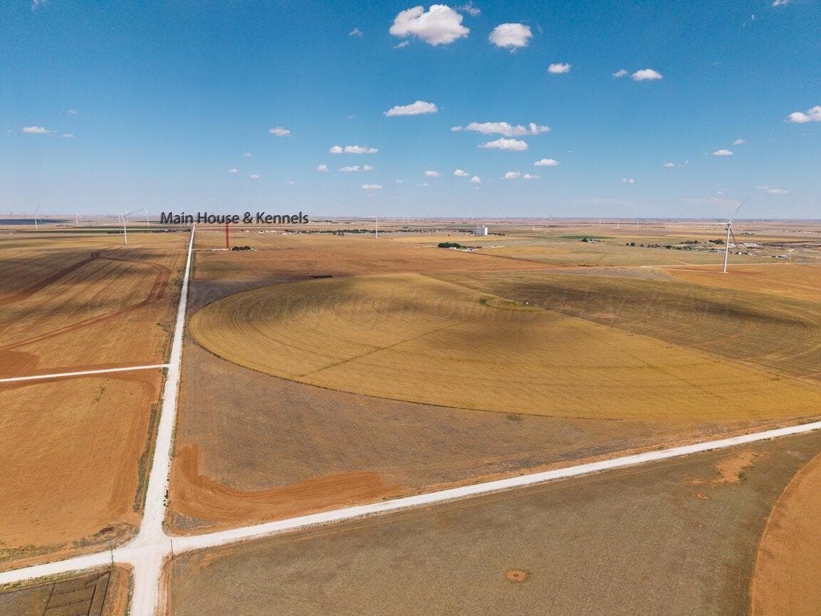 155 acres in Parmer County featured view