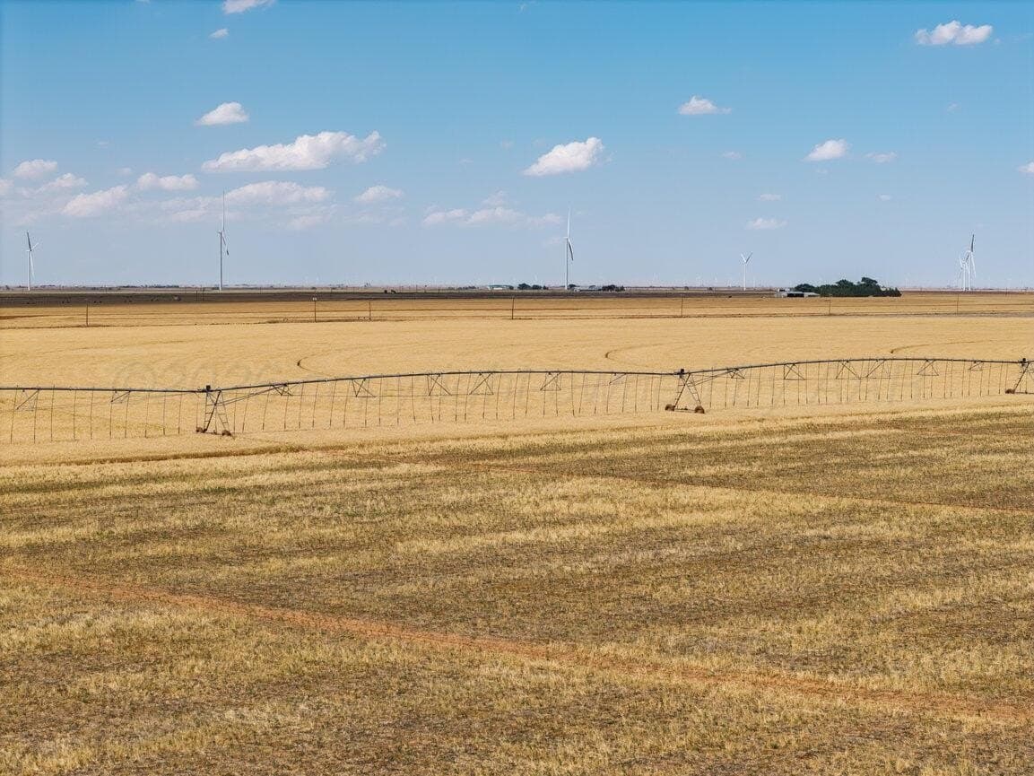 155 acres in Parmer County gallery image 3