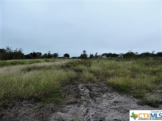 2 acres in DeWitt County gallery image 2