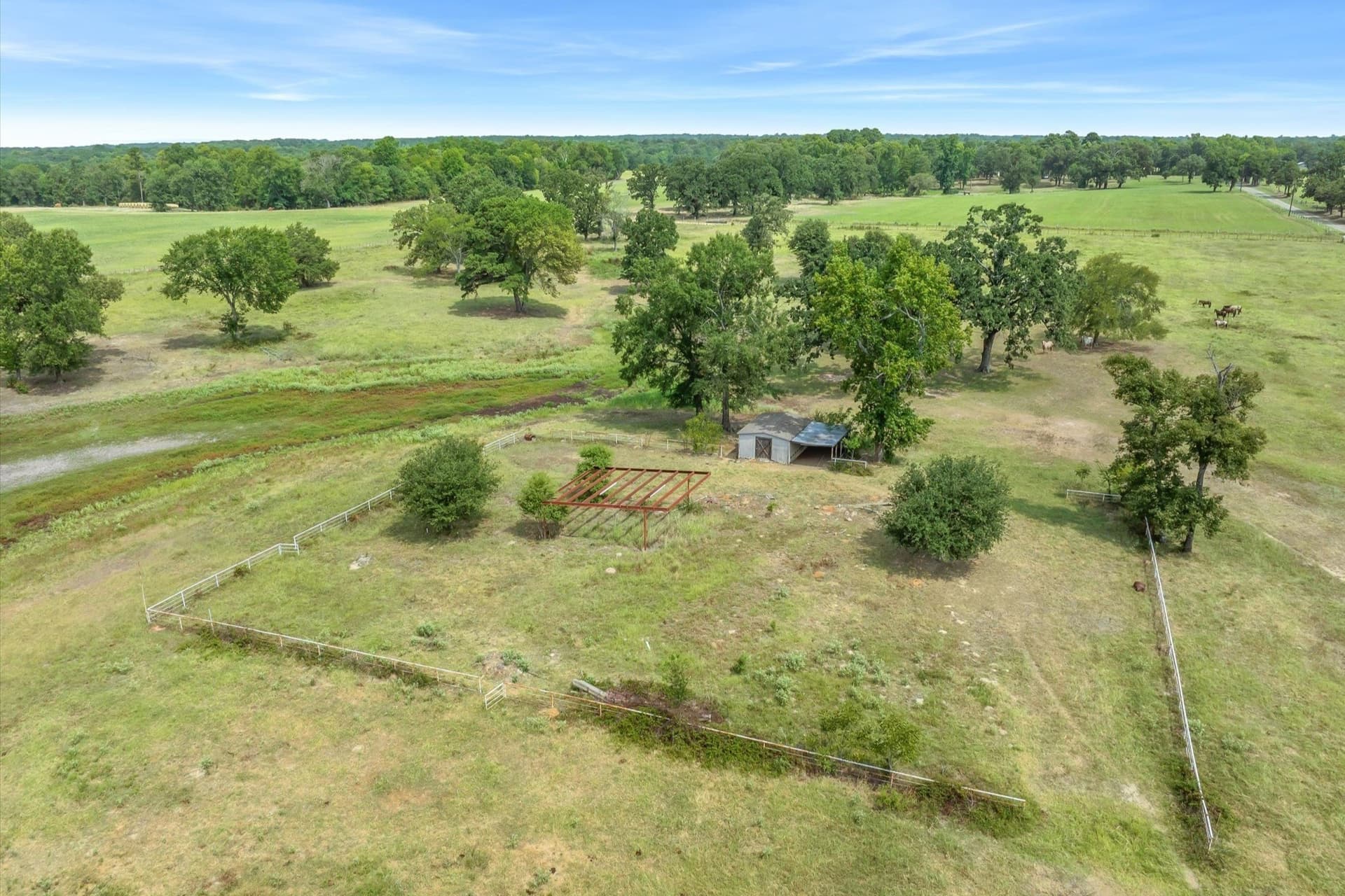 74.06 acres in Wood County - photo 12