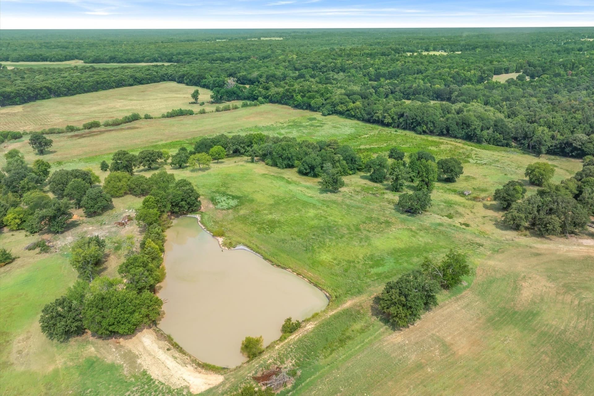 74.06 acres in Wood County - photo 23