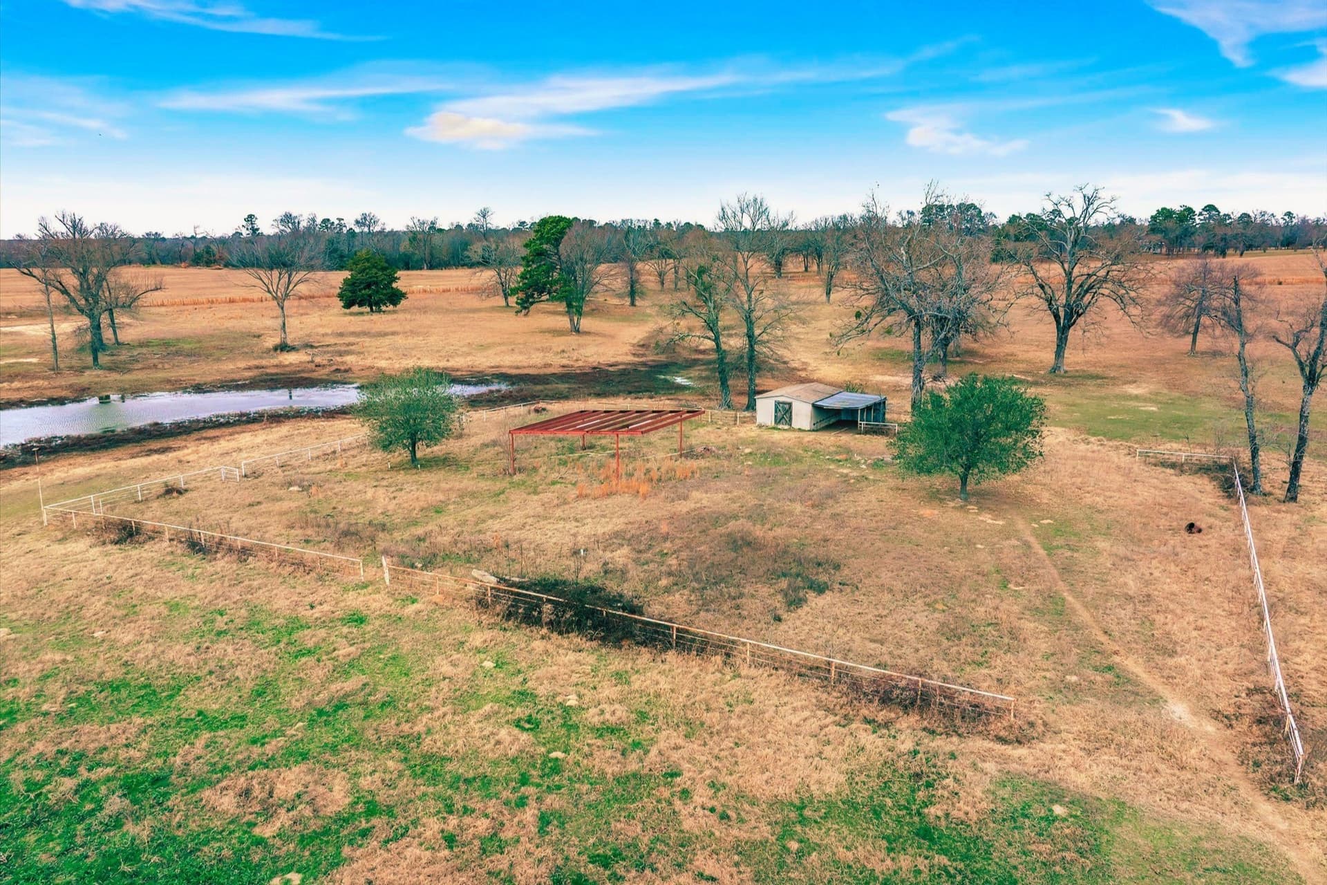 74.06 acres in Wood County - photo 6