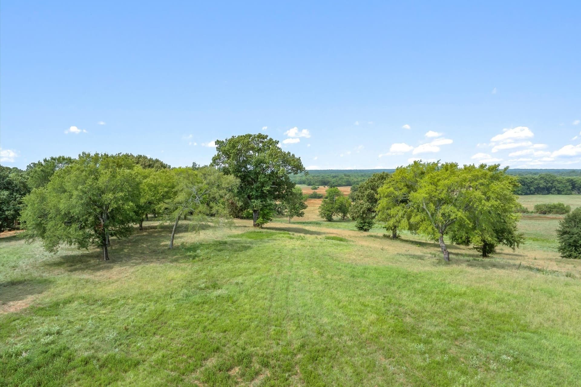 74.06 acres in Wood County - photo 30