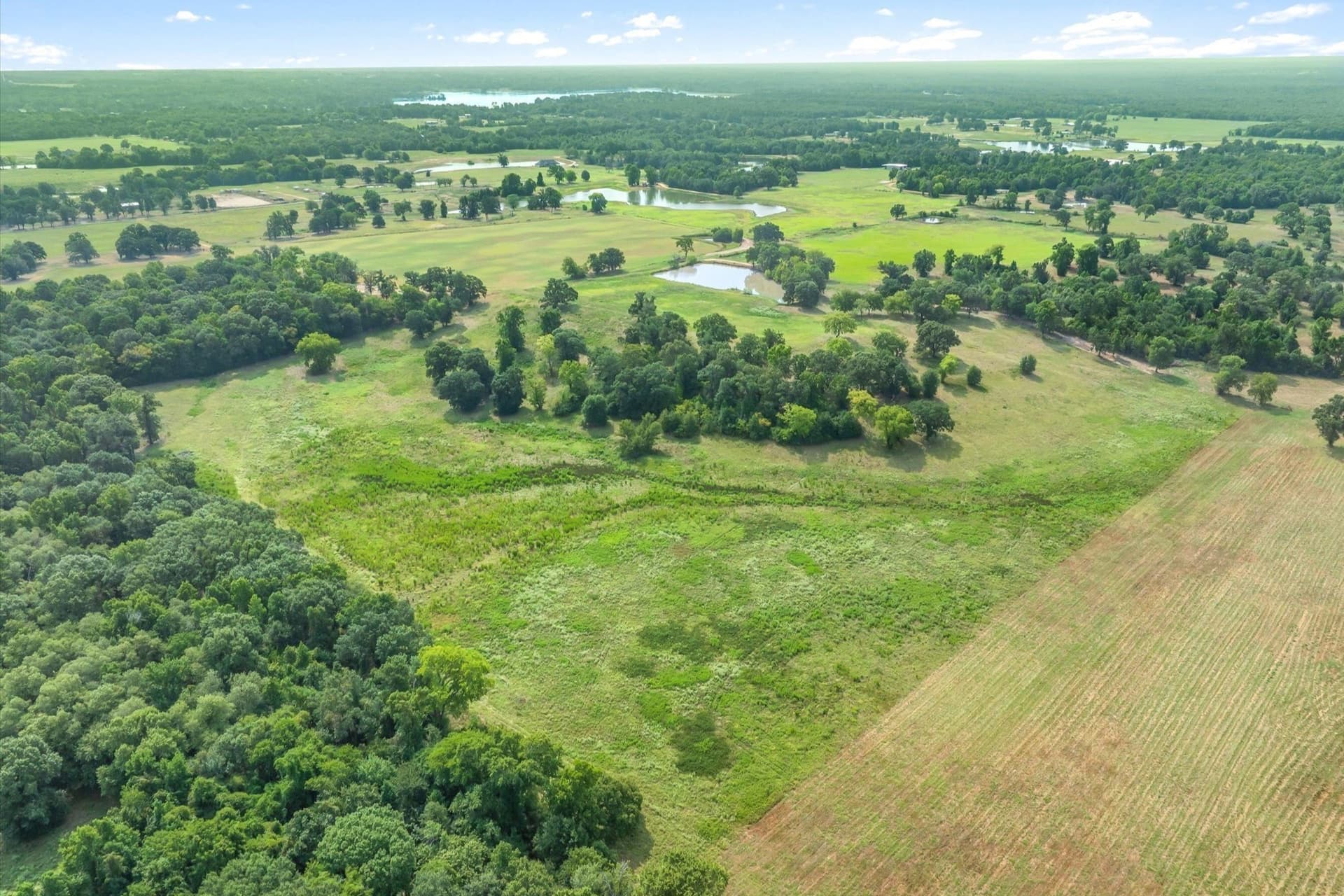 74.06 acres in Wood County - photo 32