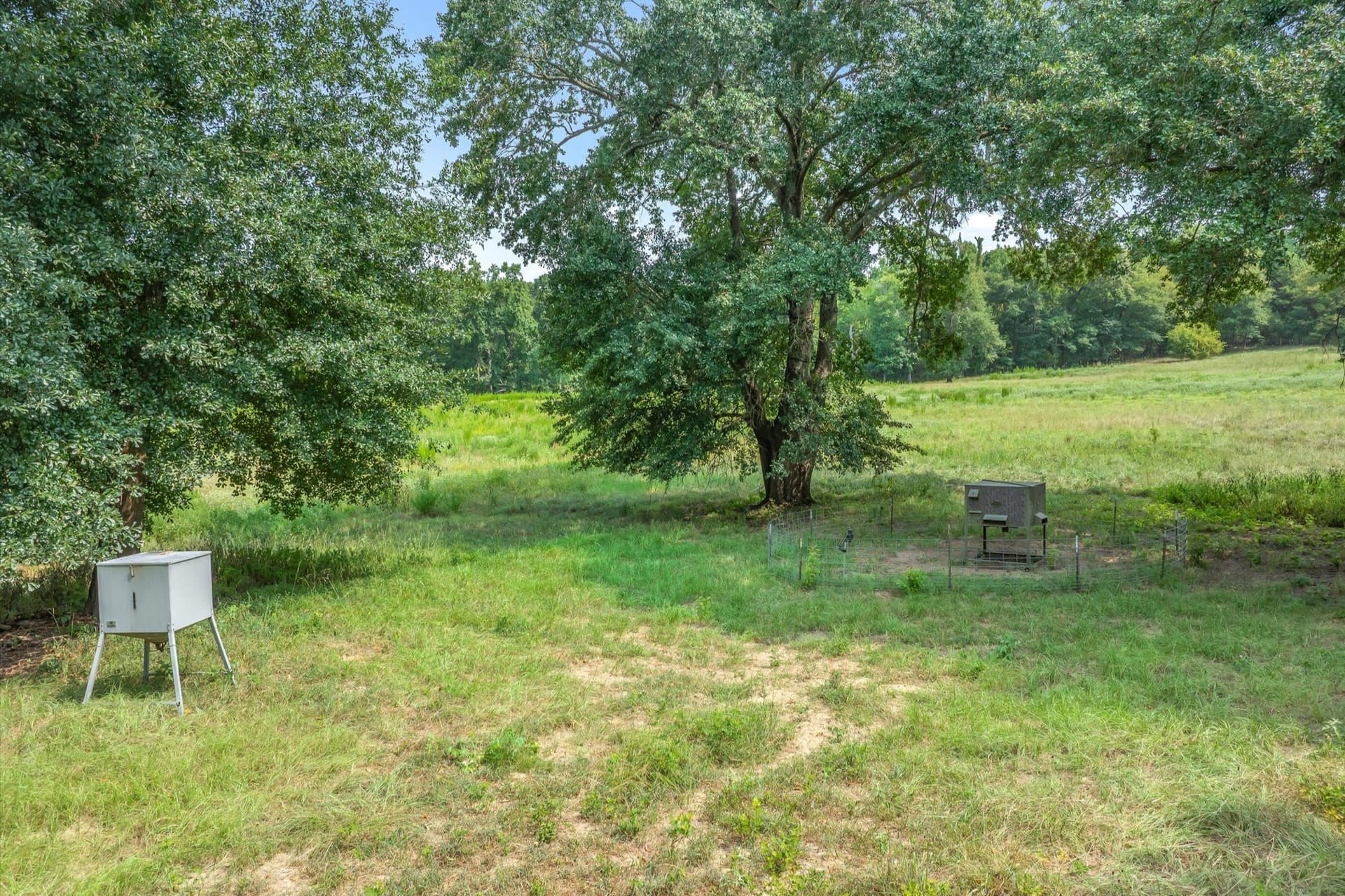 74.06 acres in Wood County - photo 25