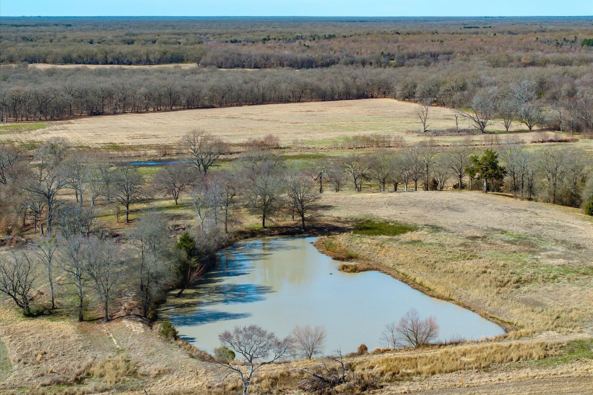74.06 acres in Wood County gallery image 3