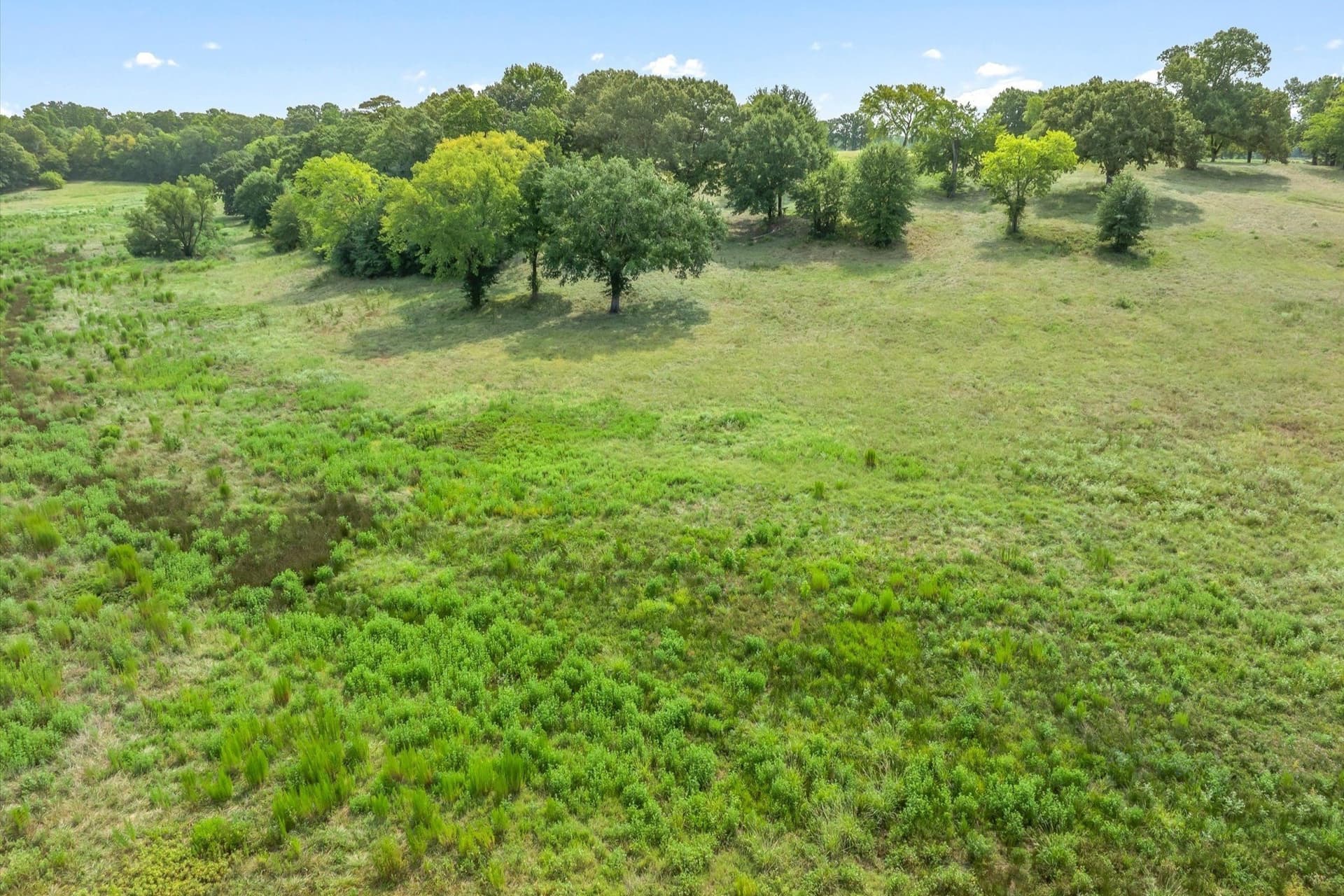 74.06 acres in Wood County - photo 35