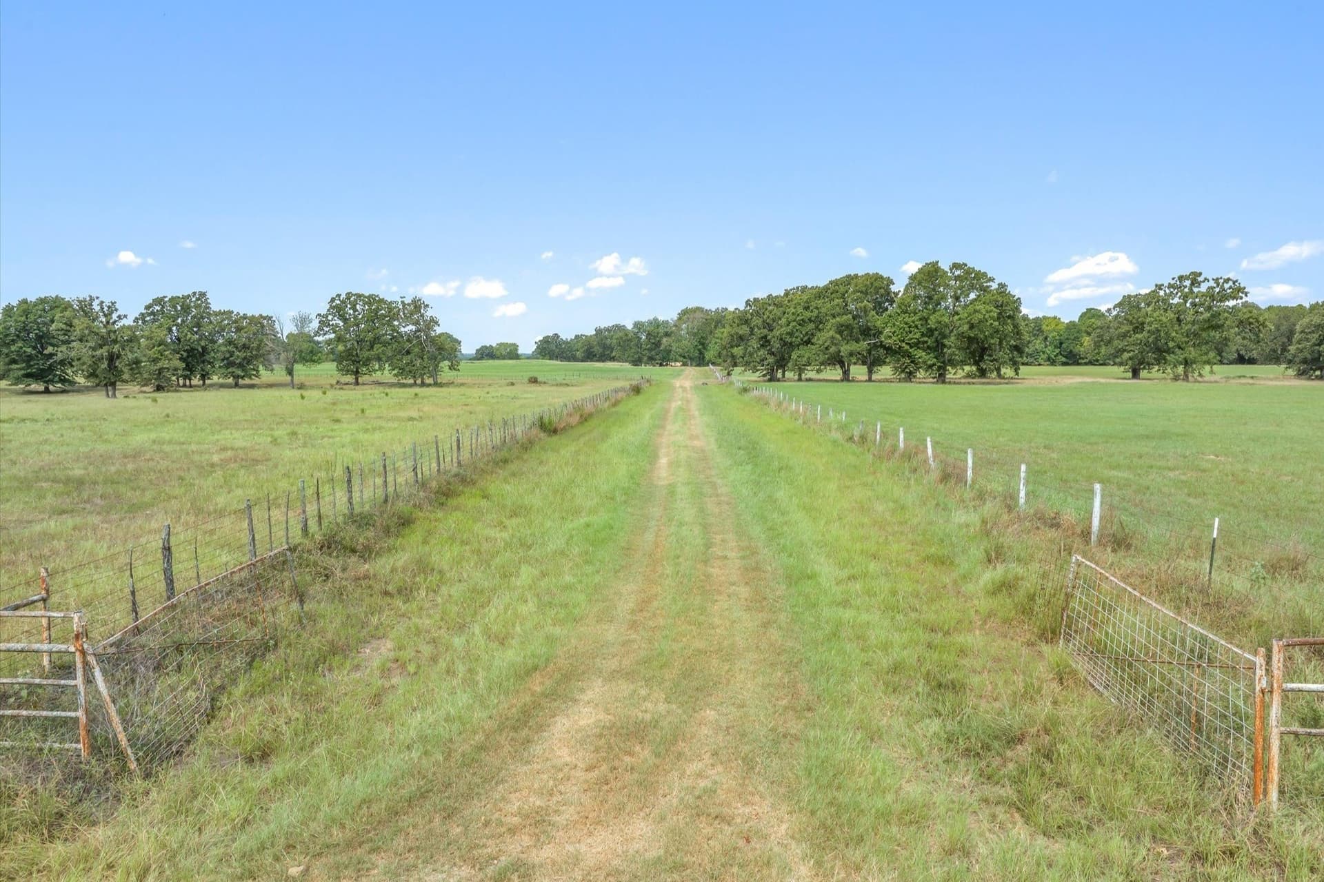 74.06 acres in Wood County - photo 9