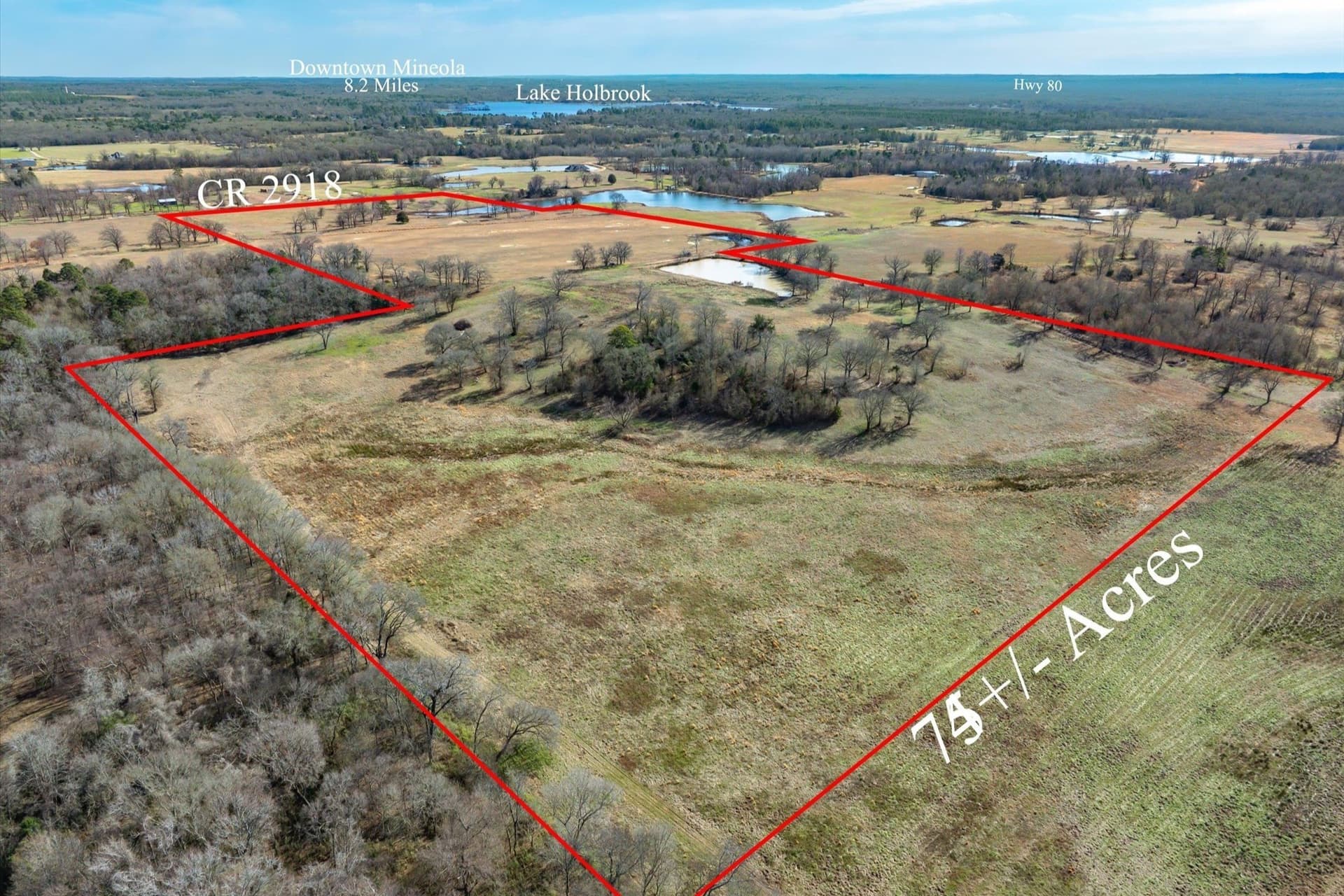 74.06 acres in Wood County gallery image 2
