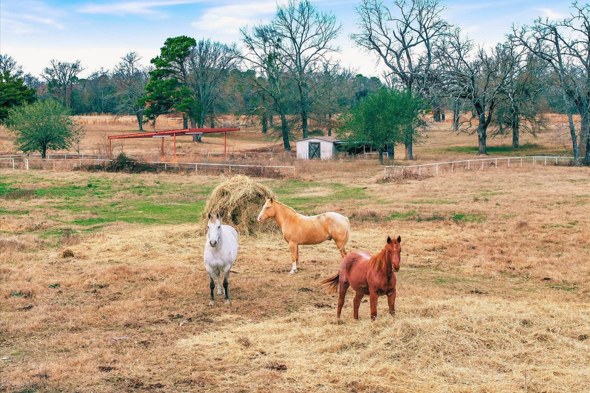 74.06 acres in Wood County - photo 4