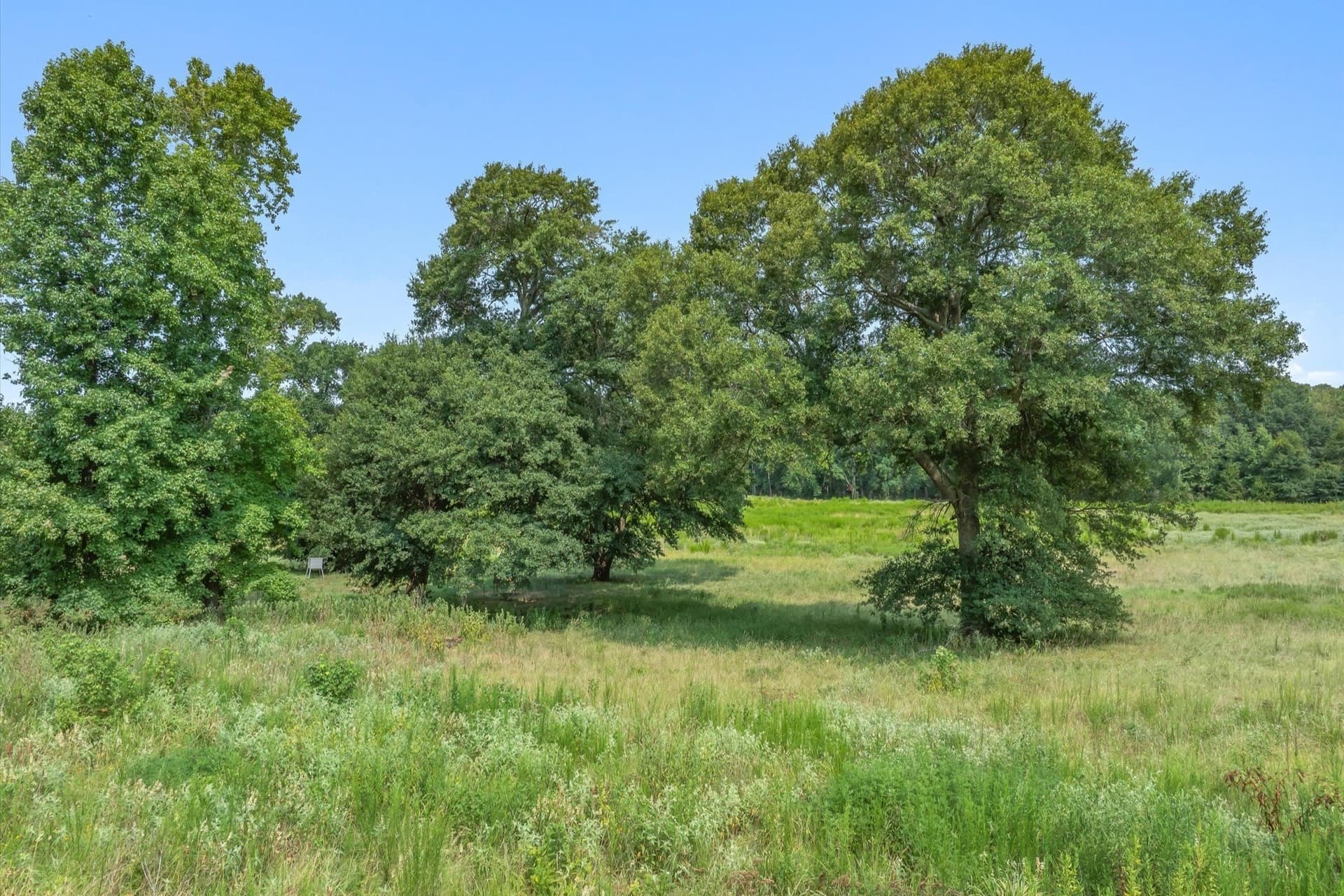 74.06 acres in Wood County - photo 21