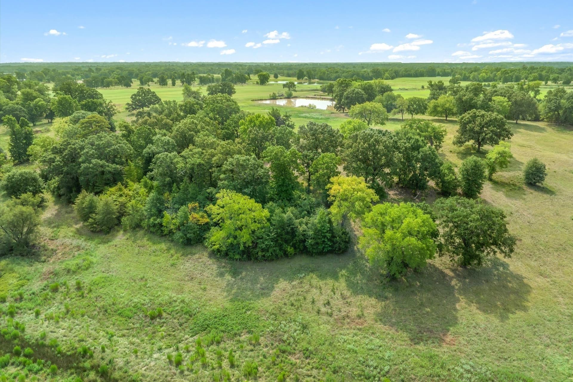 74.06 acres in Wood County - photo 34