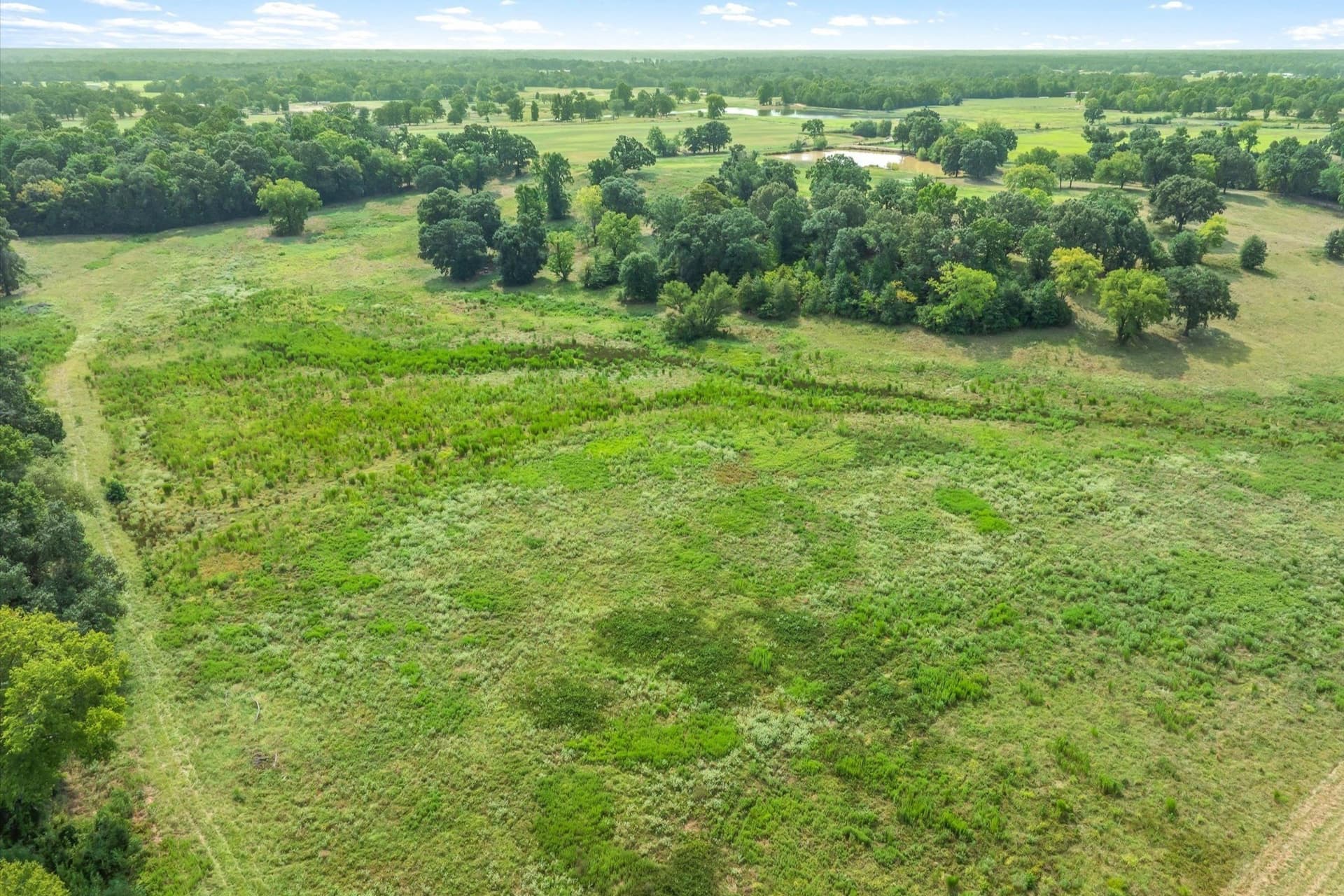 74.06 acres in Wood County - photo 33