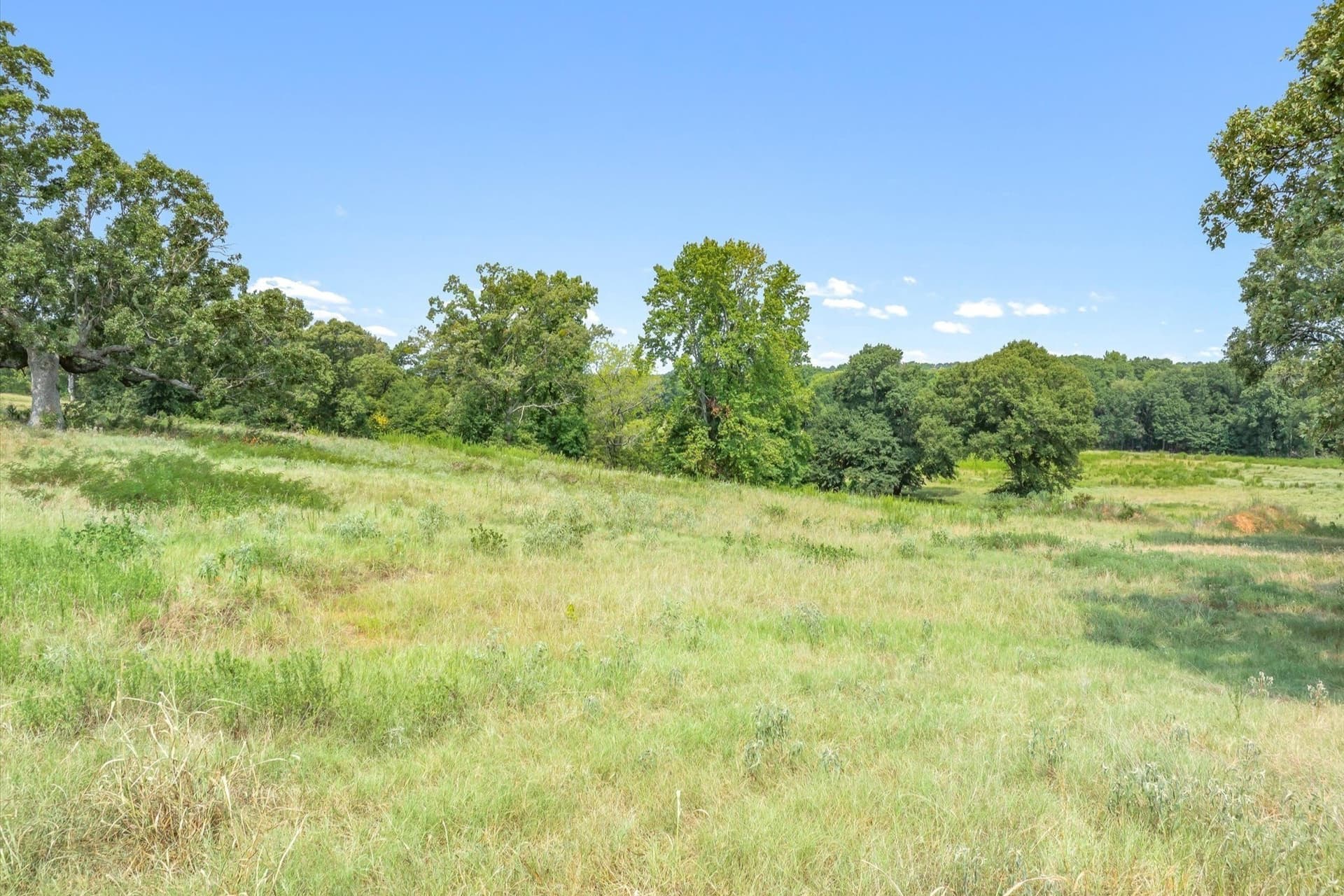 74.06 acres in Wood County - photo 20