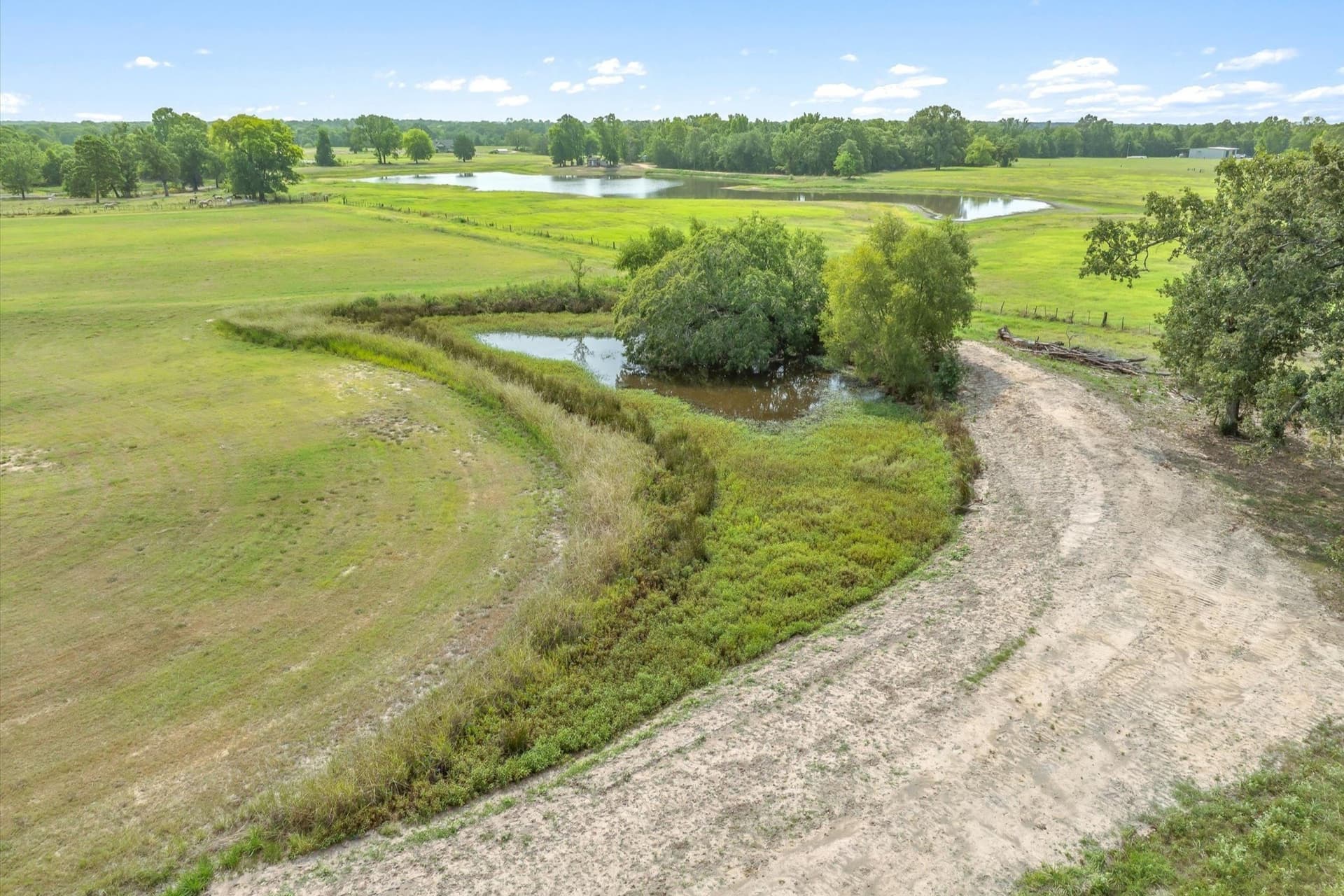 74.06 acres in Wood County - photo 29
