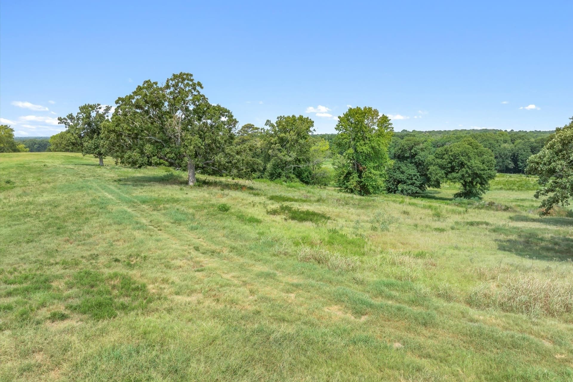 74.06 acres in Wood County - photo 18