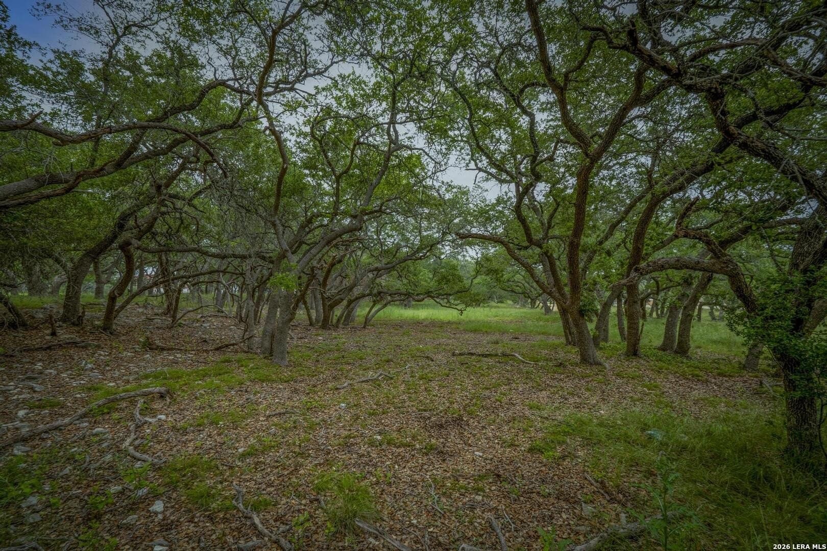 1.01 acres in Comal County - photo 18