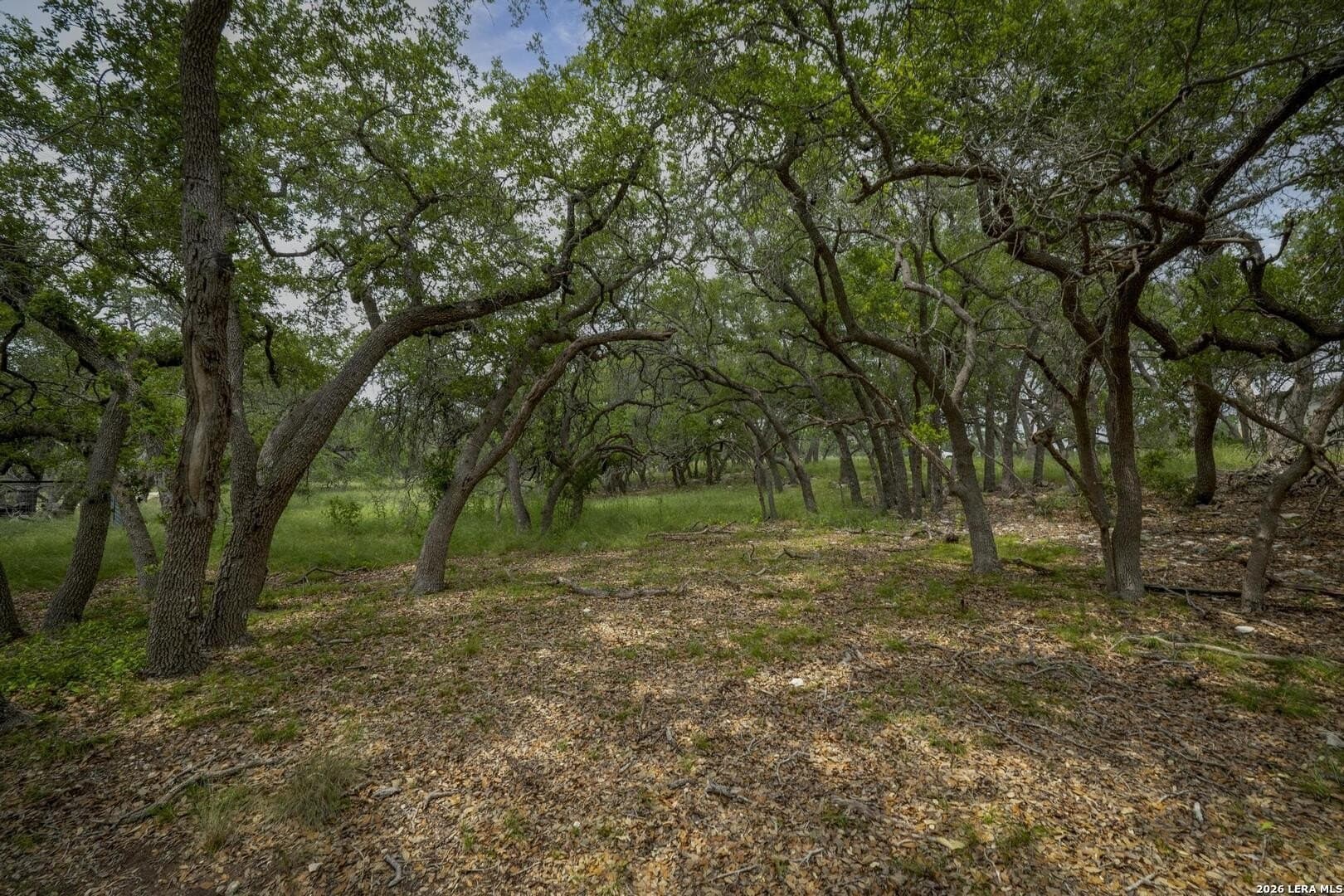 1.01 acres in Comal County - photo 20