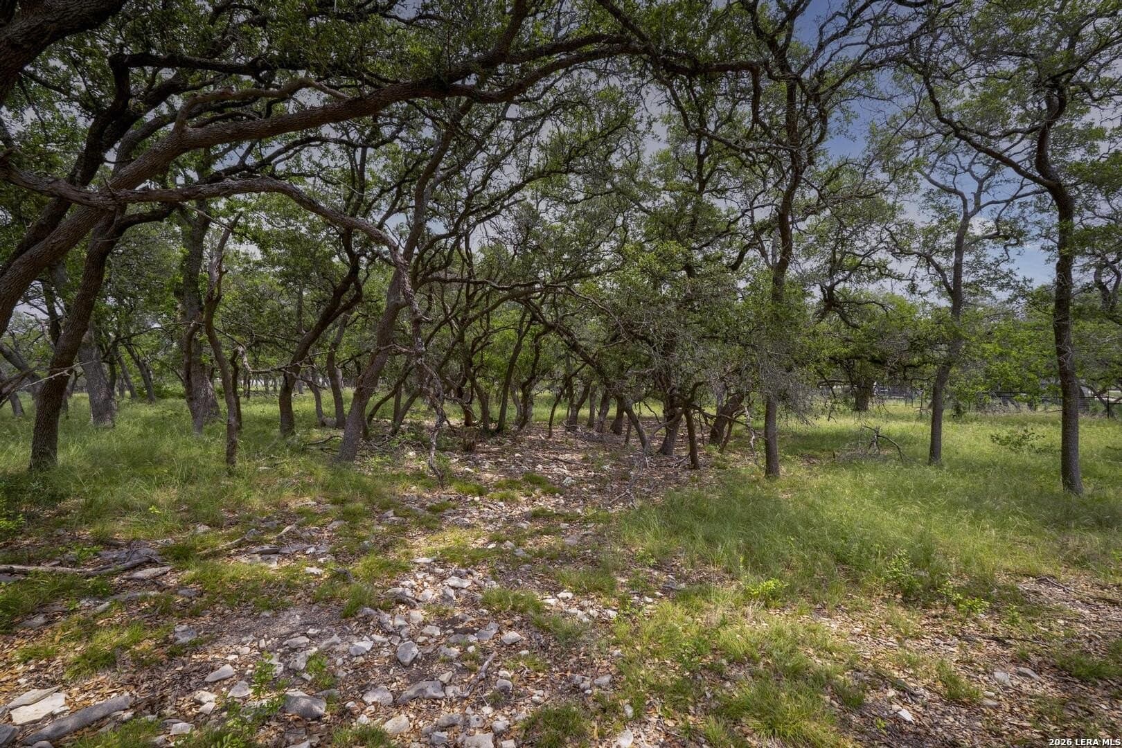 1.01 acres in Comal County - photo 25