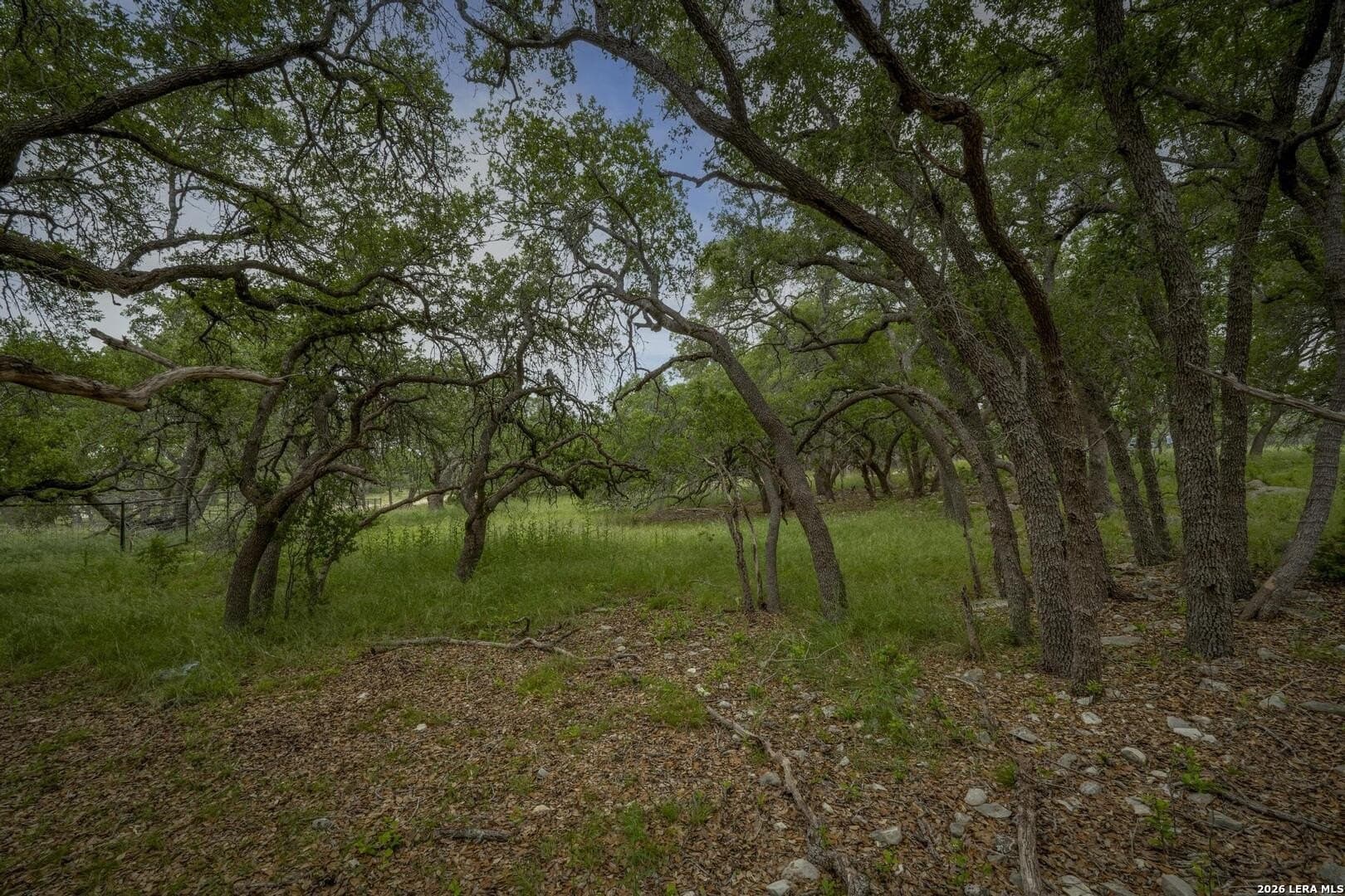1.01 acres in Comal County - photo 19