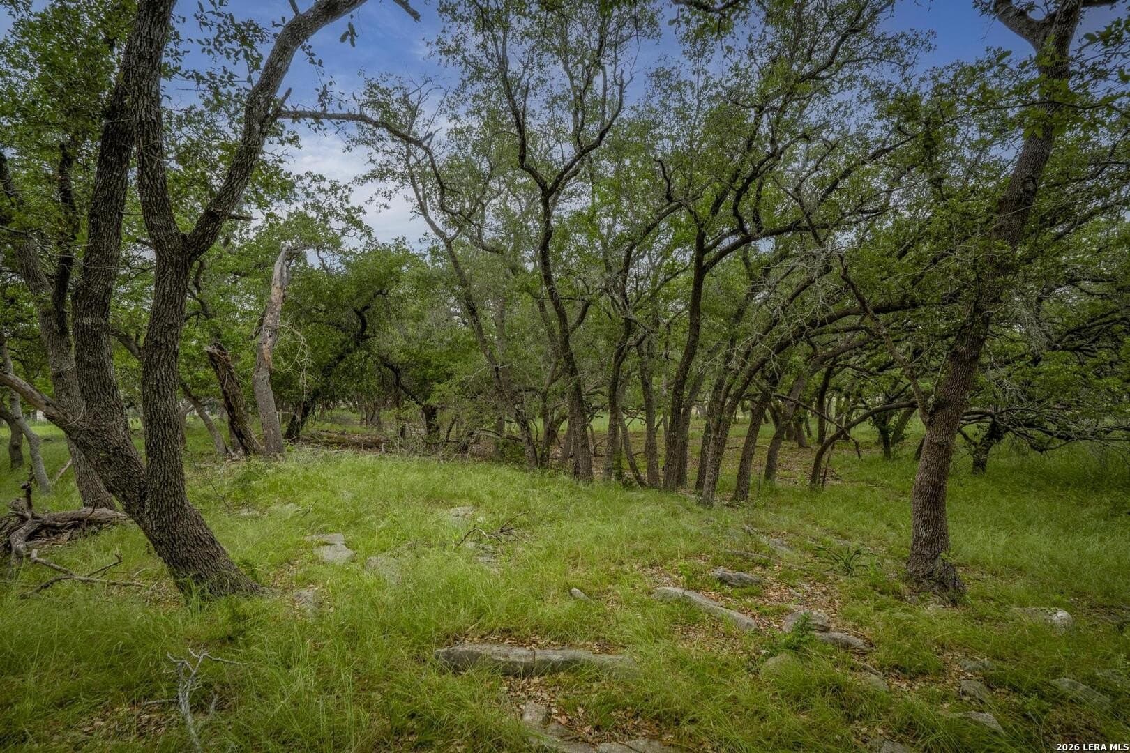 1.01 acres in Comal County - photo 15