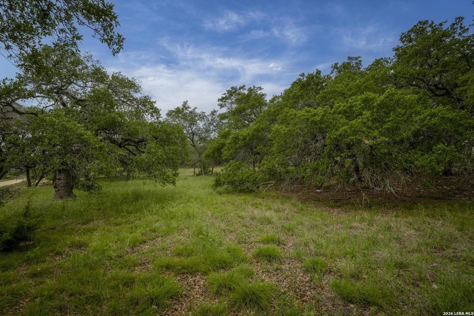 1.01 acres in Comal County - photo 22