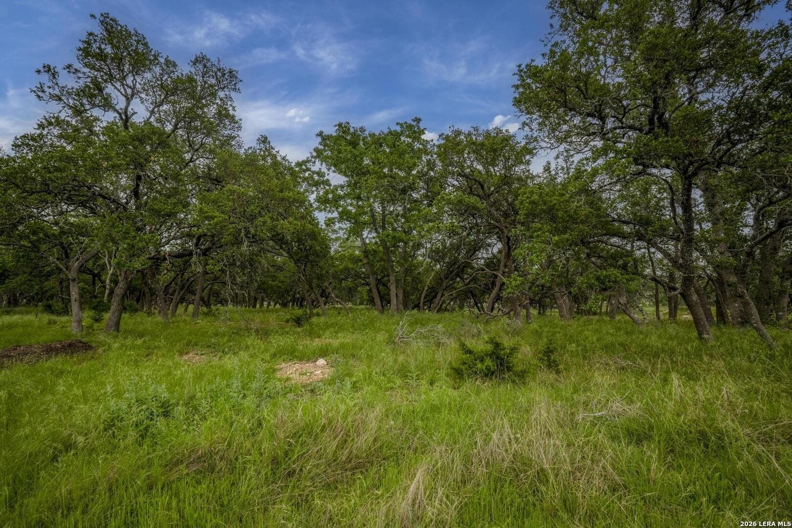 1.01 acres in Comal County - photo 12