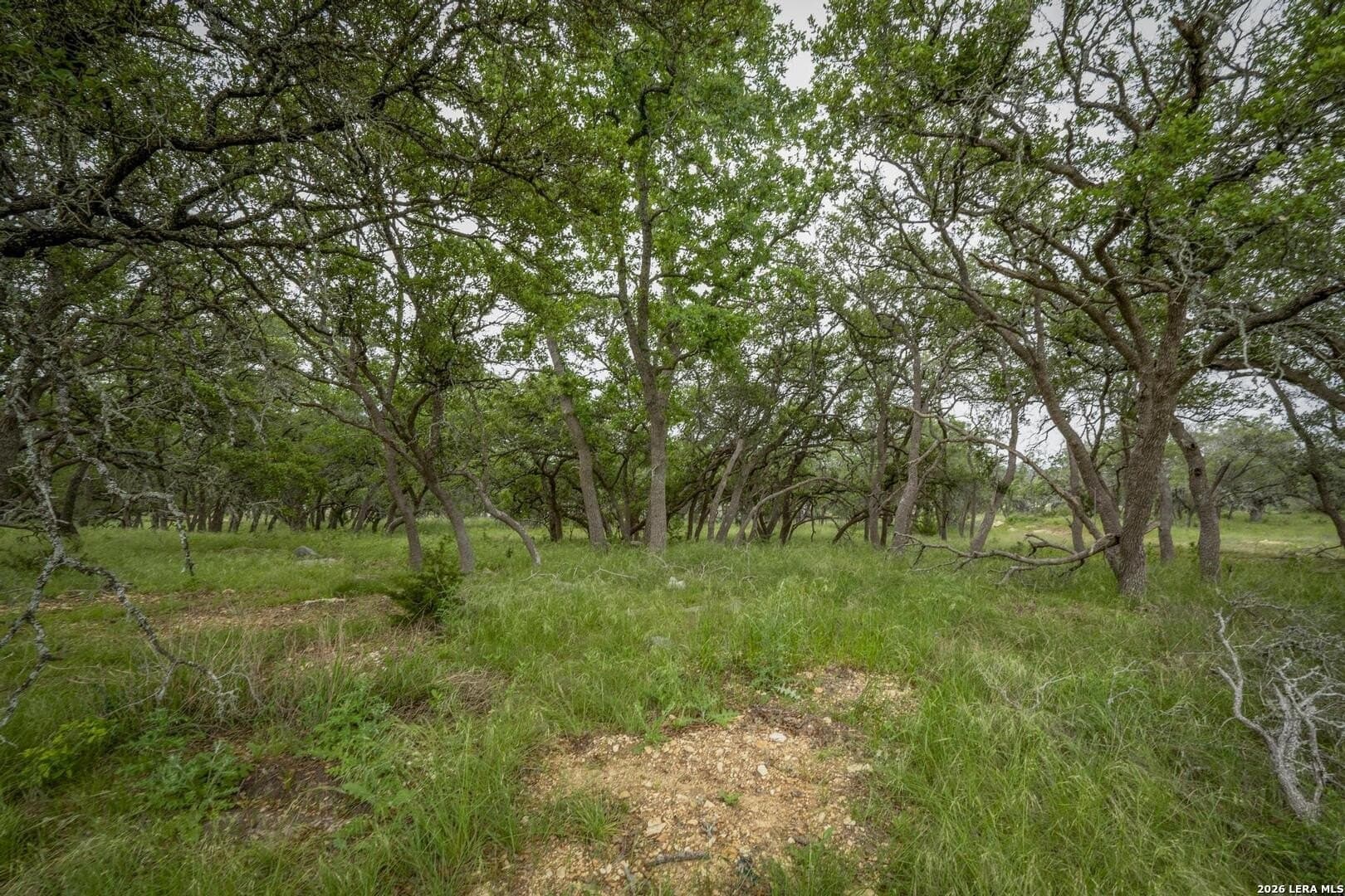 1.01 acres in Comal County - photo 13