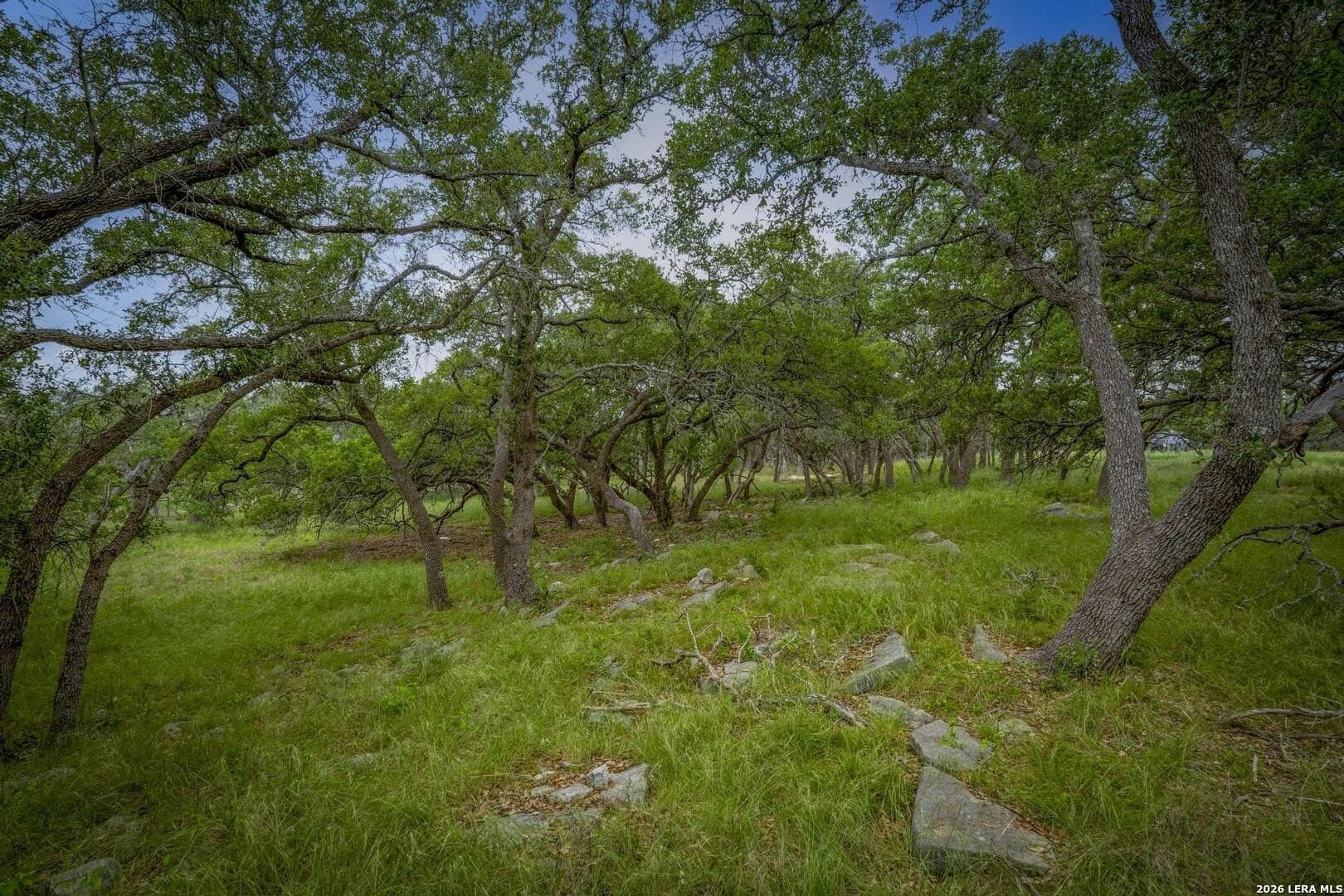 1.01 acres in Comal County - photo 17