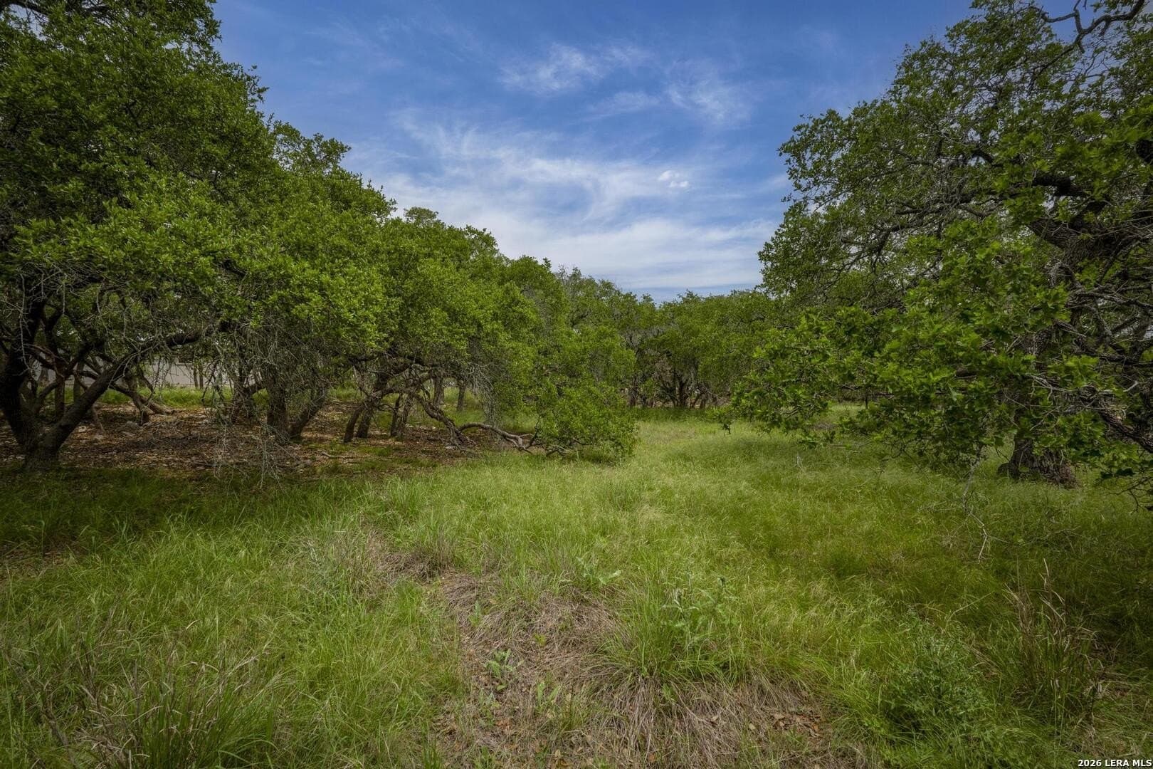 1.01 acres in Comal County - photo 23