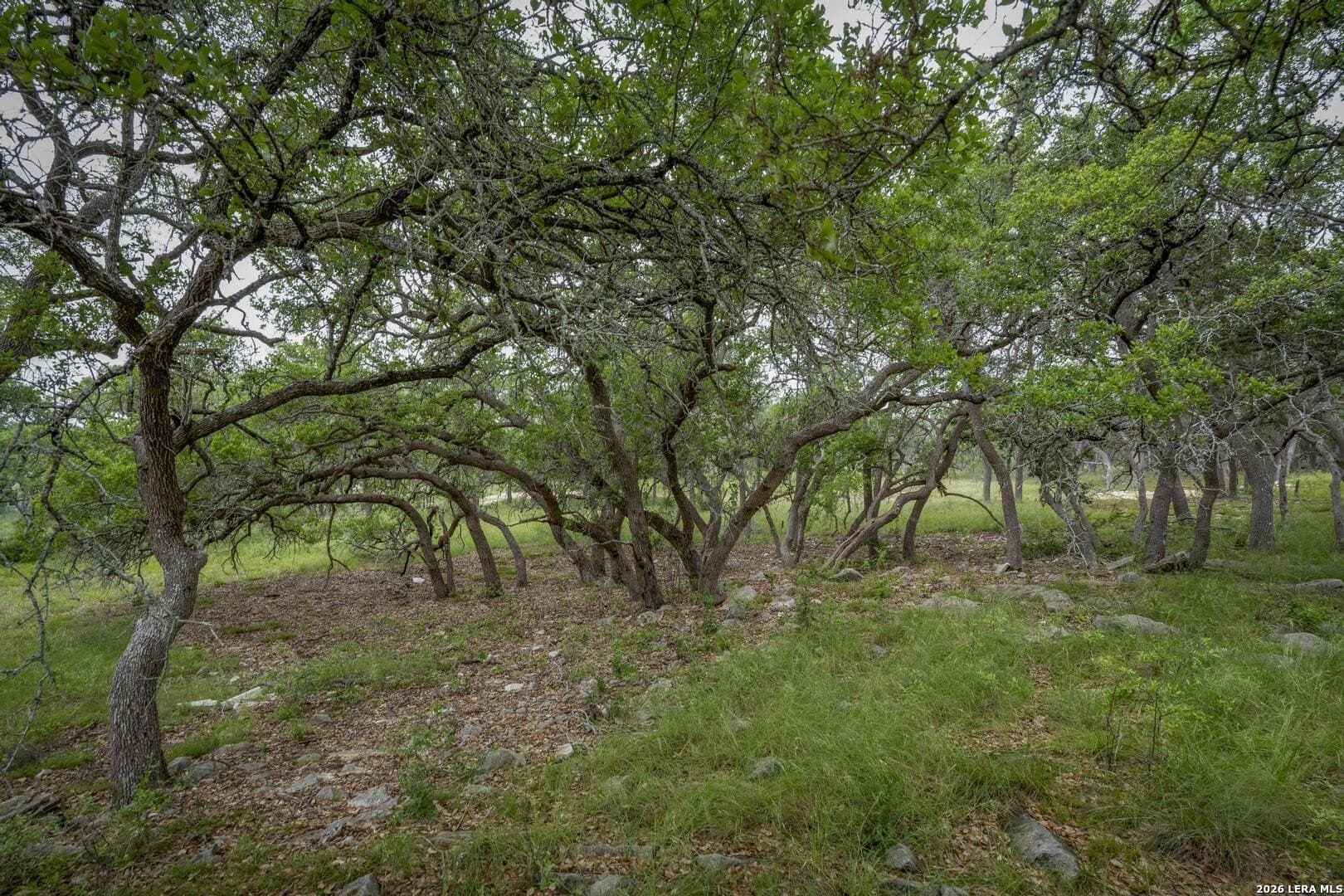 1.01 acres in Comal County - photo 16